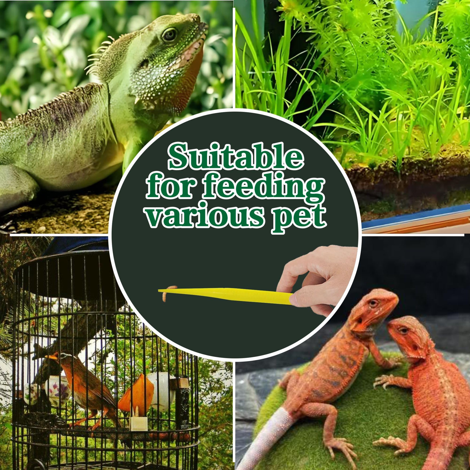 5-Pack Reptile Feeding Tongs Set - Hygienic Anti-Slip Purple Tweezers for Bearded Dragons, Lizards, Snakes, Aquariums & Small Animals(Five Colors to Choose from)