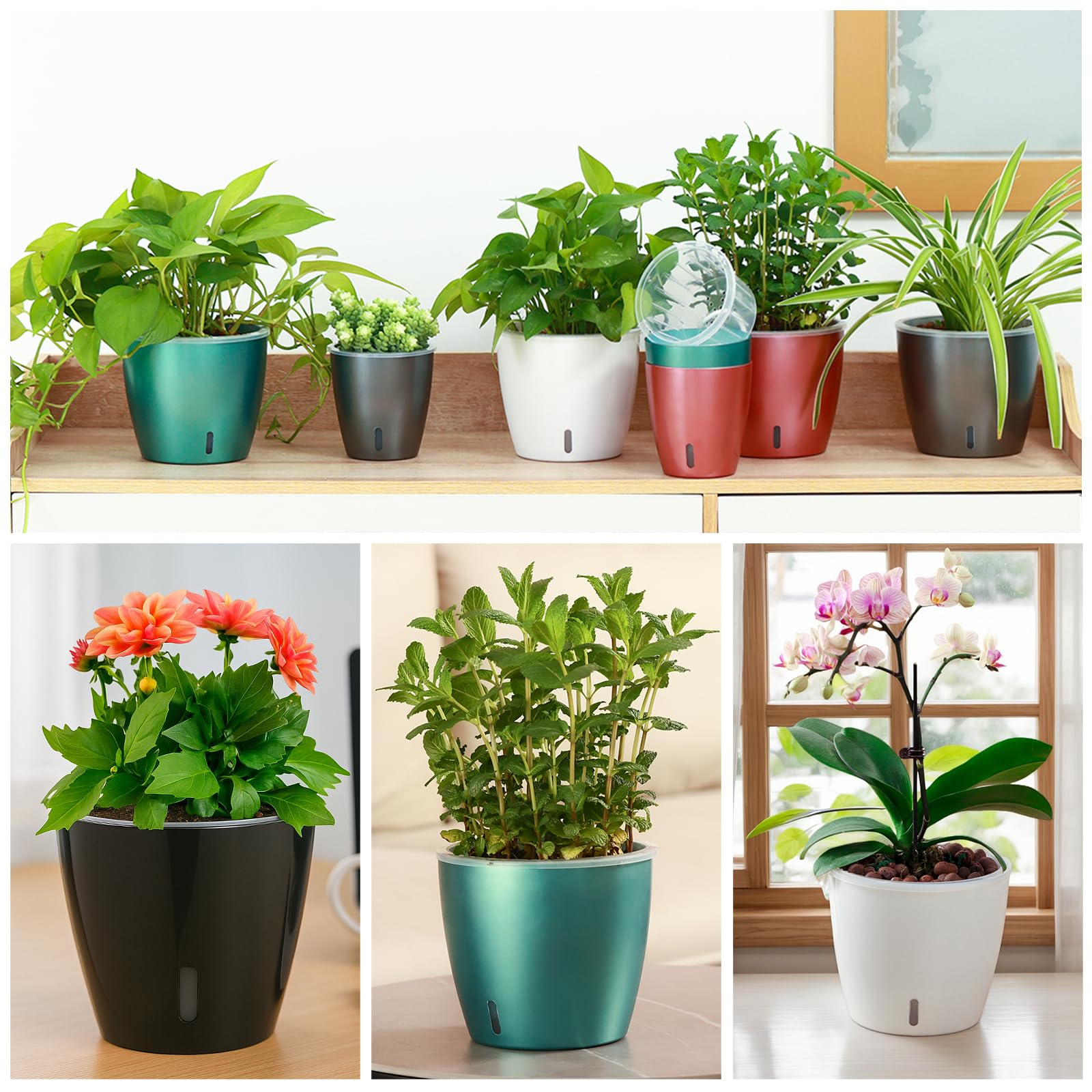 Self Watering Pots for Indoor Plants, 12-Pack 5'' Self Watering Planter with Drainage Holes, Small African Violet Pots with Water Level Indicator, Clear Wick Pot, White/Black