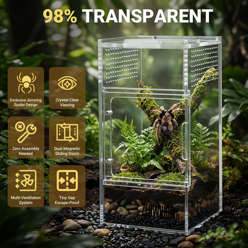 Jumping Spider Enclosure - Acrylic Terrarium Habitat for Spiders, Tarantulas, Snail, Mantis, Lizard, and Small Reptiles, Dual Magnetic Doors (6x6x9 inch)