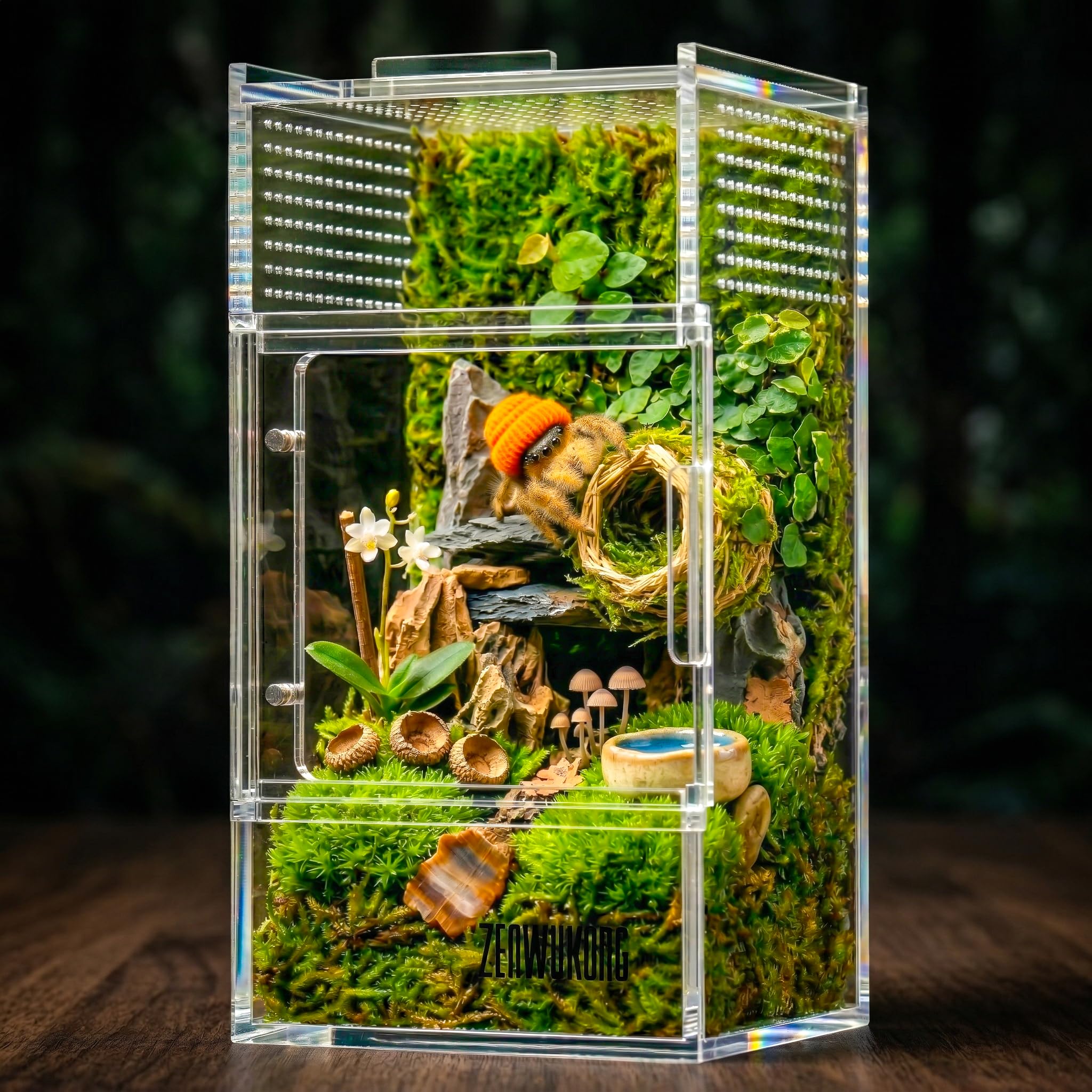 Jumping Spider Enclosure - Acrylic Terrarium Habitat for Spiders, Tarantulas, Snail, Mantis, Lizard, and Small Reptiles, Dual Magnetic Doors (6x6x9 inch)