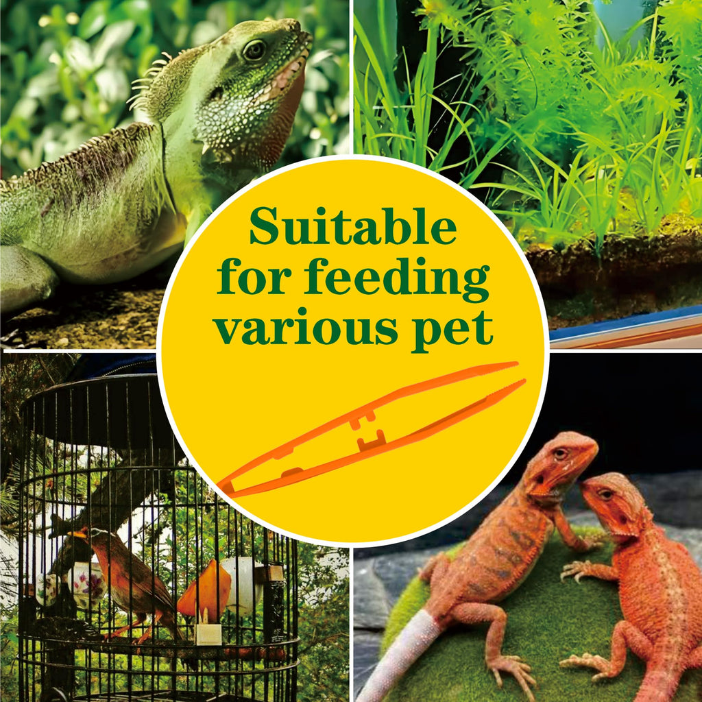 5-Pack Reptile Feeding Tongs Set - Hygienic Anti-Slip Purple Tweezers for Bearded Dragons, Lizards, Snakes, Aquariums & Small Animals(Five Colors to Choose from)