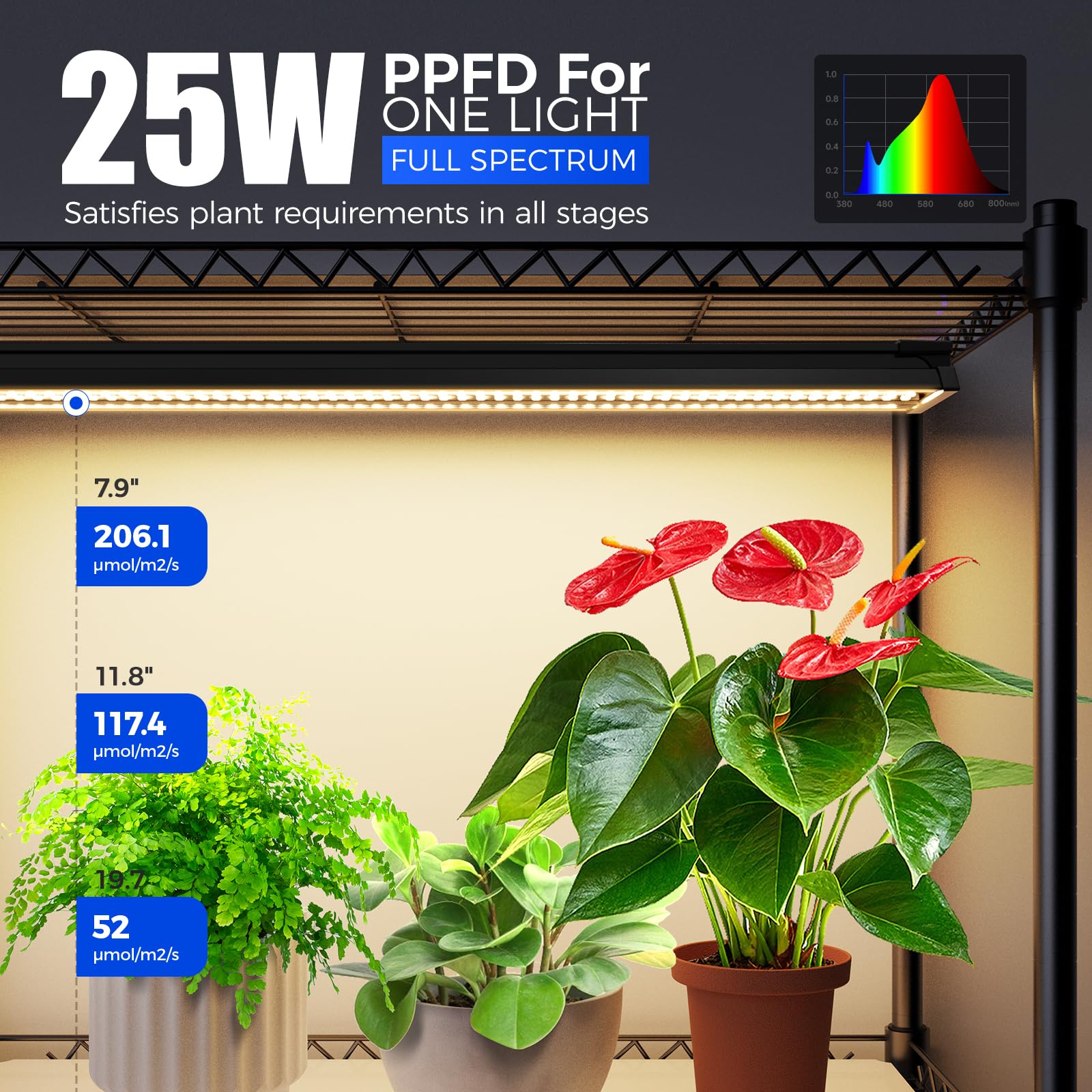 Barrina LH750 Pegboard Indoor Greenhouse with Grow Light, Plant Cabinet with 90W 5000K Full Spectrum Lamps, 3 Adjustable Pegboards, Timer, Wheel, for Foliage Plant, Seedling, 29.5x13.8x67.9IN