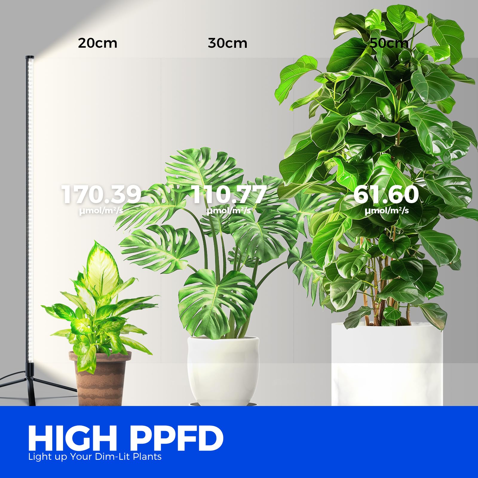 Barrina T10 Pro Standing Grow Light with Timer, 42W, 5000K, Full Spectrum Vertical Tall Grow Lights for Indoor Plants, Wide Coverage, 4FT to 5.6FT Height with Foot Switch, for Flower and Tall Plants