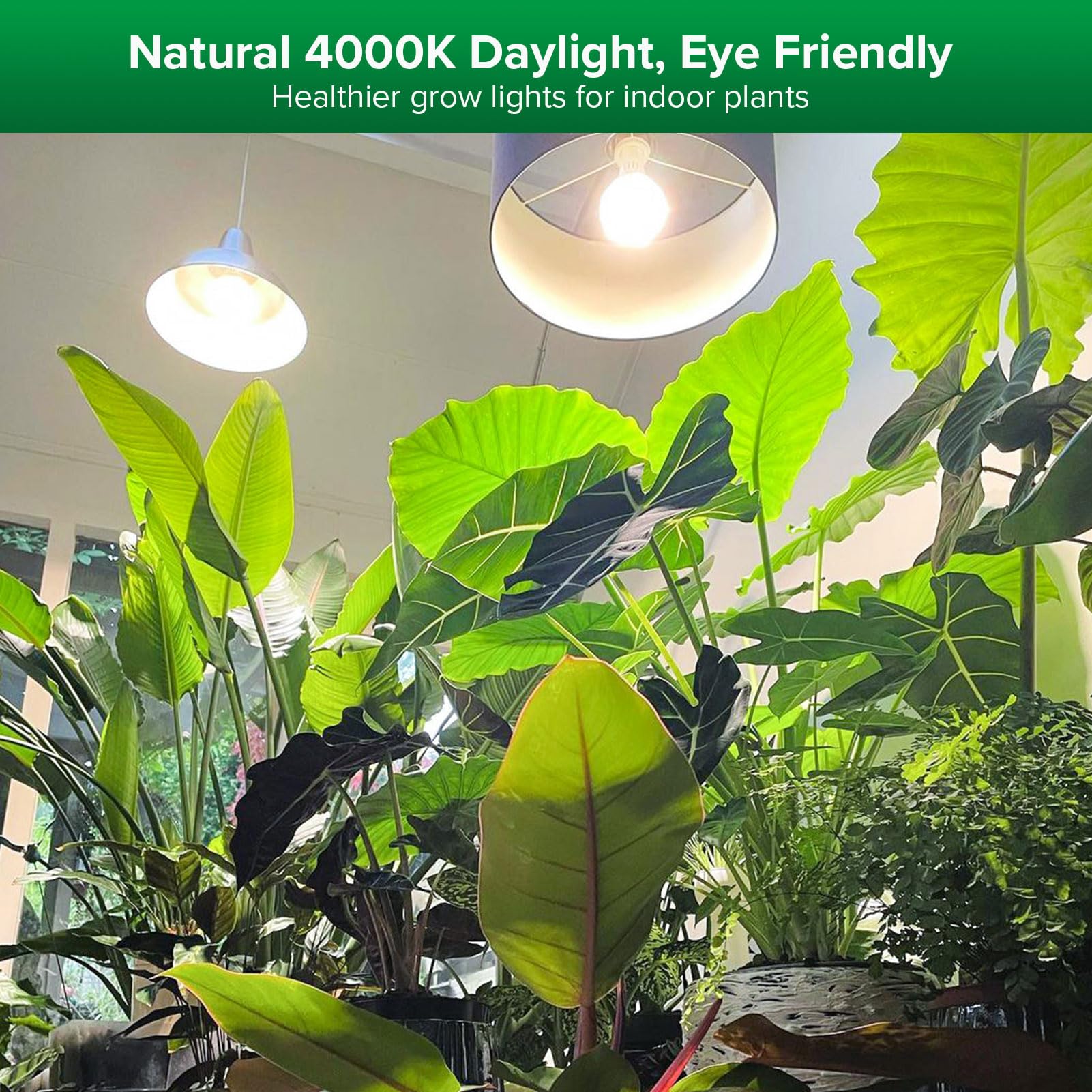 SANSI Grow Lights for Indoor Plants, Full Spectrum 24W Grow Light Bulbs (300 Watt Equivalent) with Optical Lens for High PPFD, Natural Daylight Efficiency Plant Lights for Indoor Growing Seed Starting