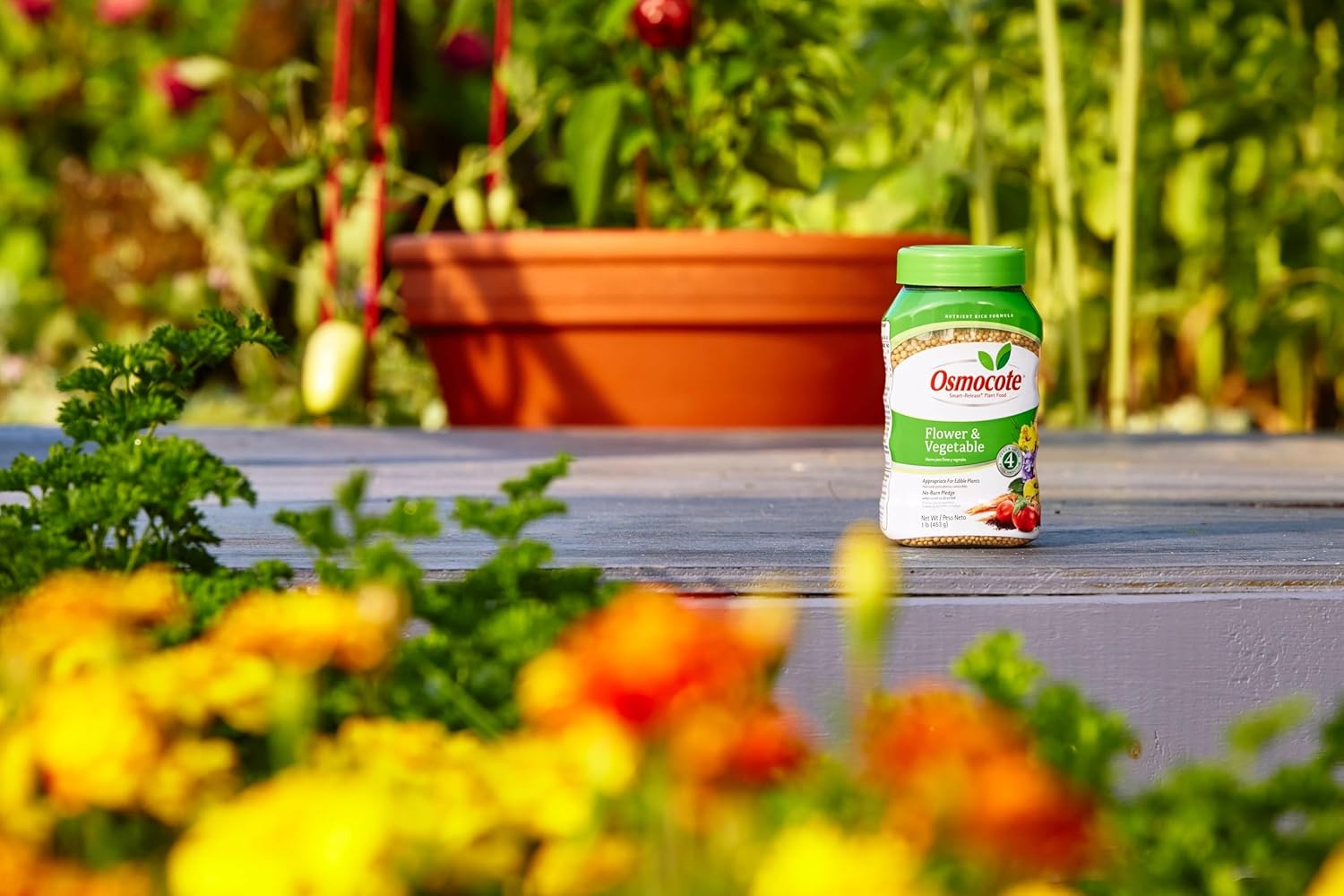 Osmocote Smart-Release Plant Food Plus Outdoor & Indoor1 - Granular, Continuous Release Plant Fertilizer with 11 Essential Nutrients, 2 lbs.