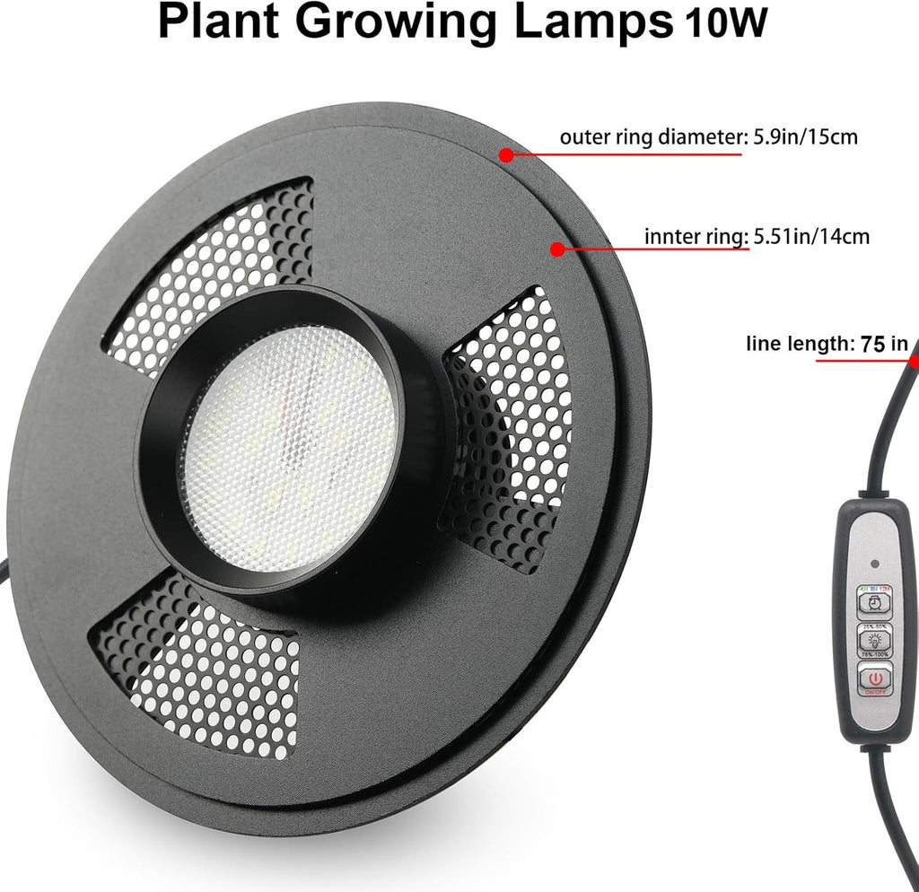 Desktop Glass Plant Terrarium with Grow Light (H:9.8" D:5.9"), for Succulent, Moss, Miniature Gardening Landscape, Betta Fish Tank, Office Home Decoration, Plant Lovers Gifts