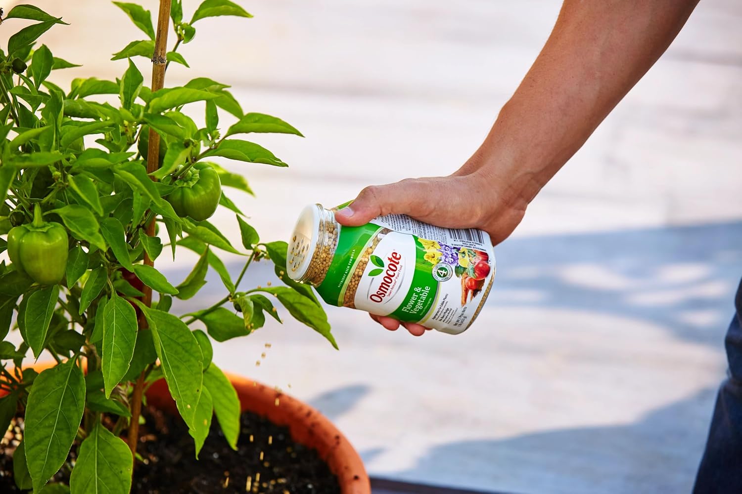 Osmocote Smart-Release Plant Food Plus Outdoor & Indoor1 - Granular, Continuous Release Plant Fertilizer with 11 Essential Nutrients, 2 lbs.