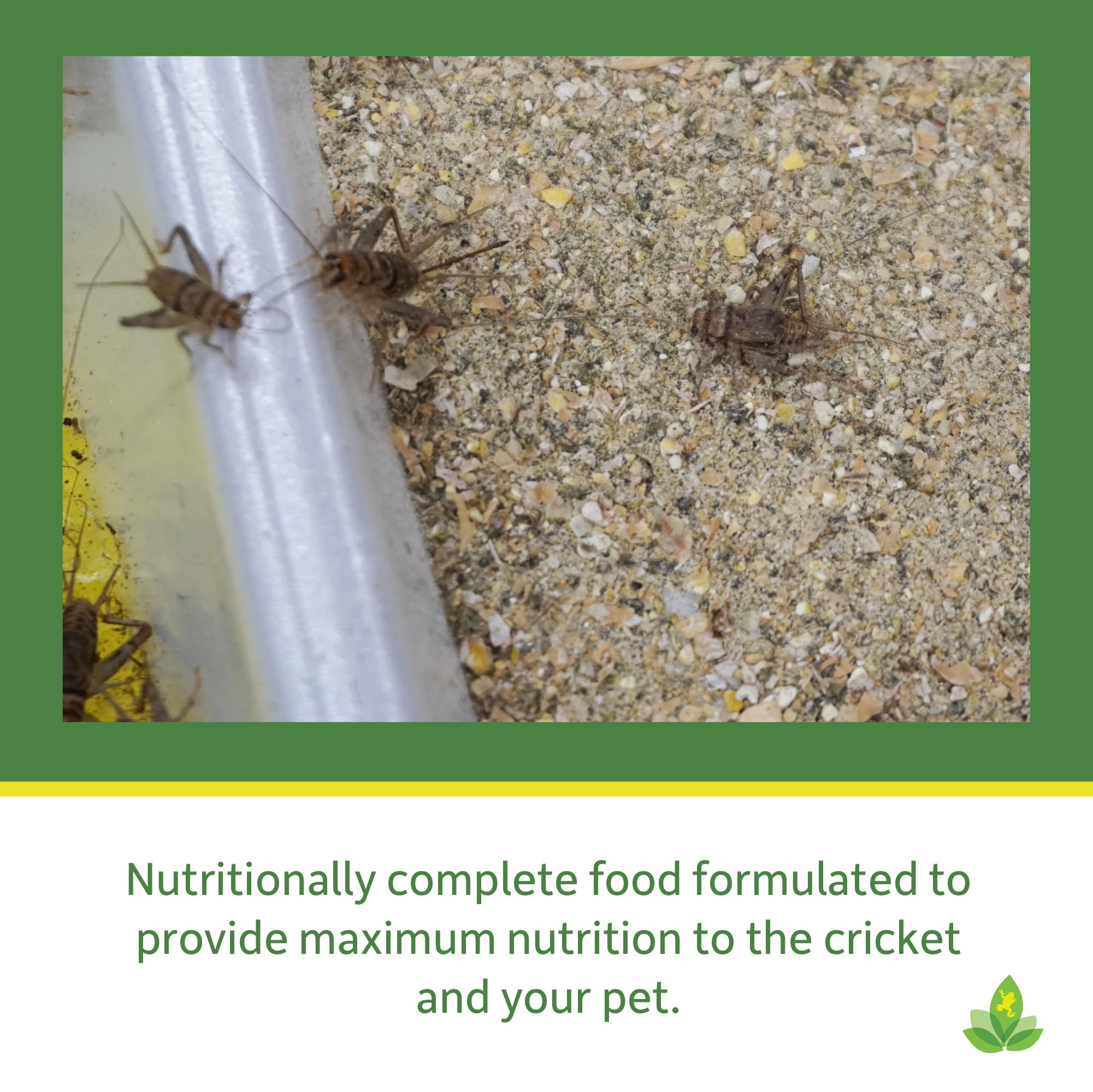 Josh's Frogs Premium Cricket Cuisine Cricket Gutloading Food (24 oz)