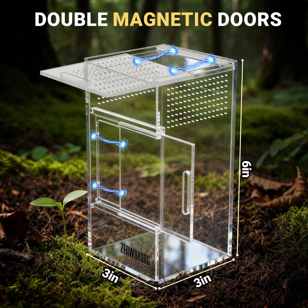 Jumping Spider Enclosure - Acrylic Terrarium Habitat for Spiders, Tarantulas, Snail, Mantis, Lizard, and Small Reptiles, Dual Magnetic Doors (6x6x9 inch)