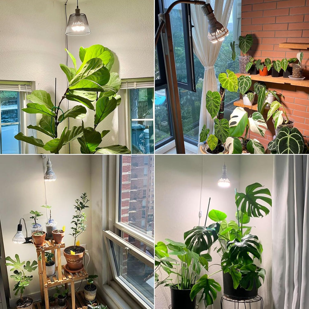 SANSI Dimmable Grow Light Bulb Full Spectrum, High PPFD 30W Grow Bulb (450 Watt Equiv) with Remote, Auto On Off Timing 4 8 12 Hrs, Energy Saving Plant Light Bulb with E26 Base for Indoor Plants