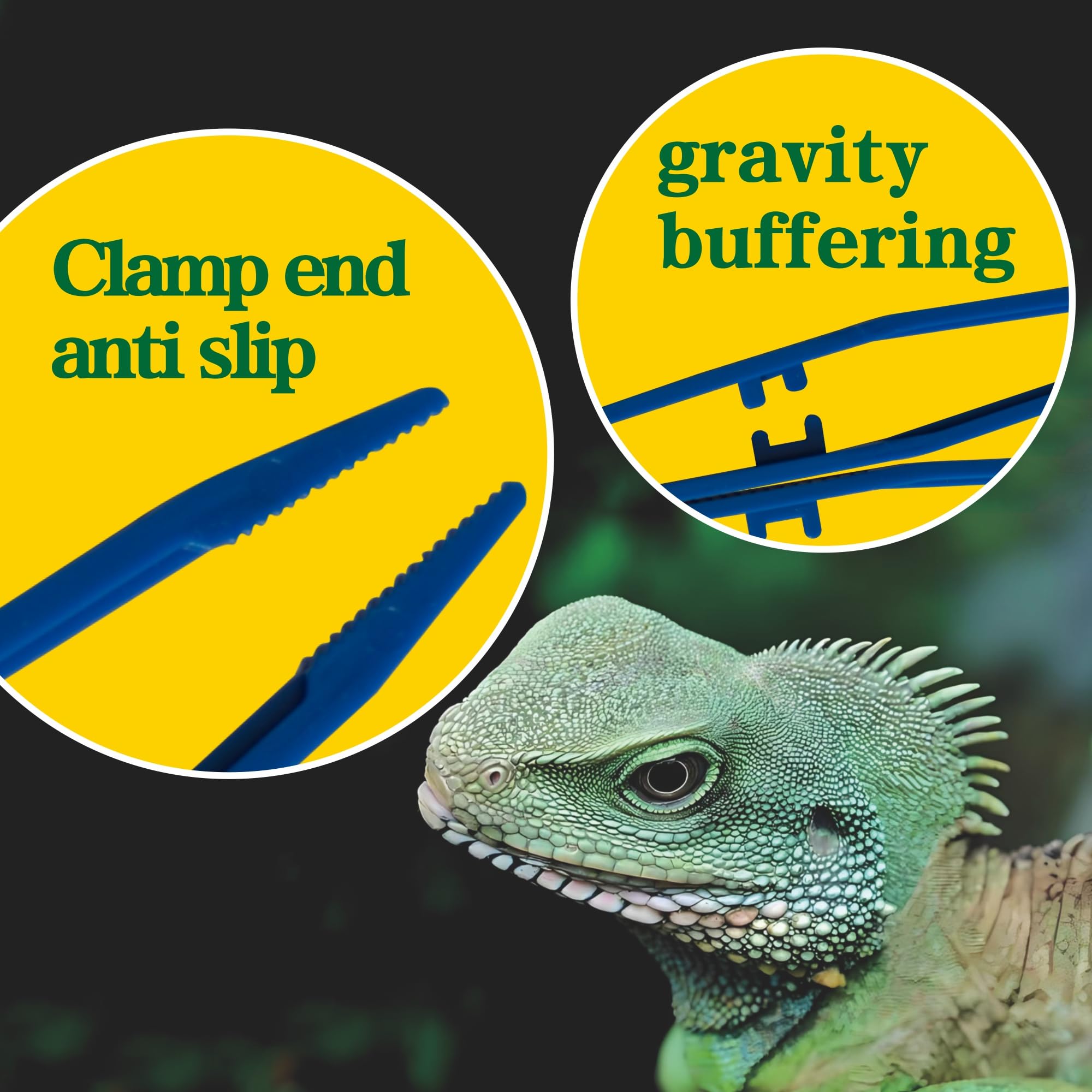 5-Pack Reptile Feeding Tongs Set - Hygienic Anti-Slip Purple Tweezers for Bearded Dragons, Lizards, Snakes, Aquariums & Small Animals(Five Colors to Choose from)