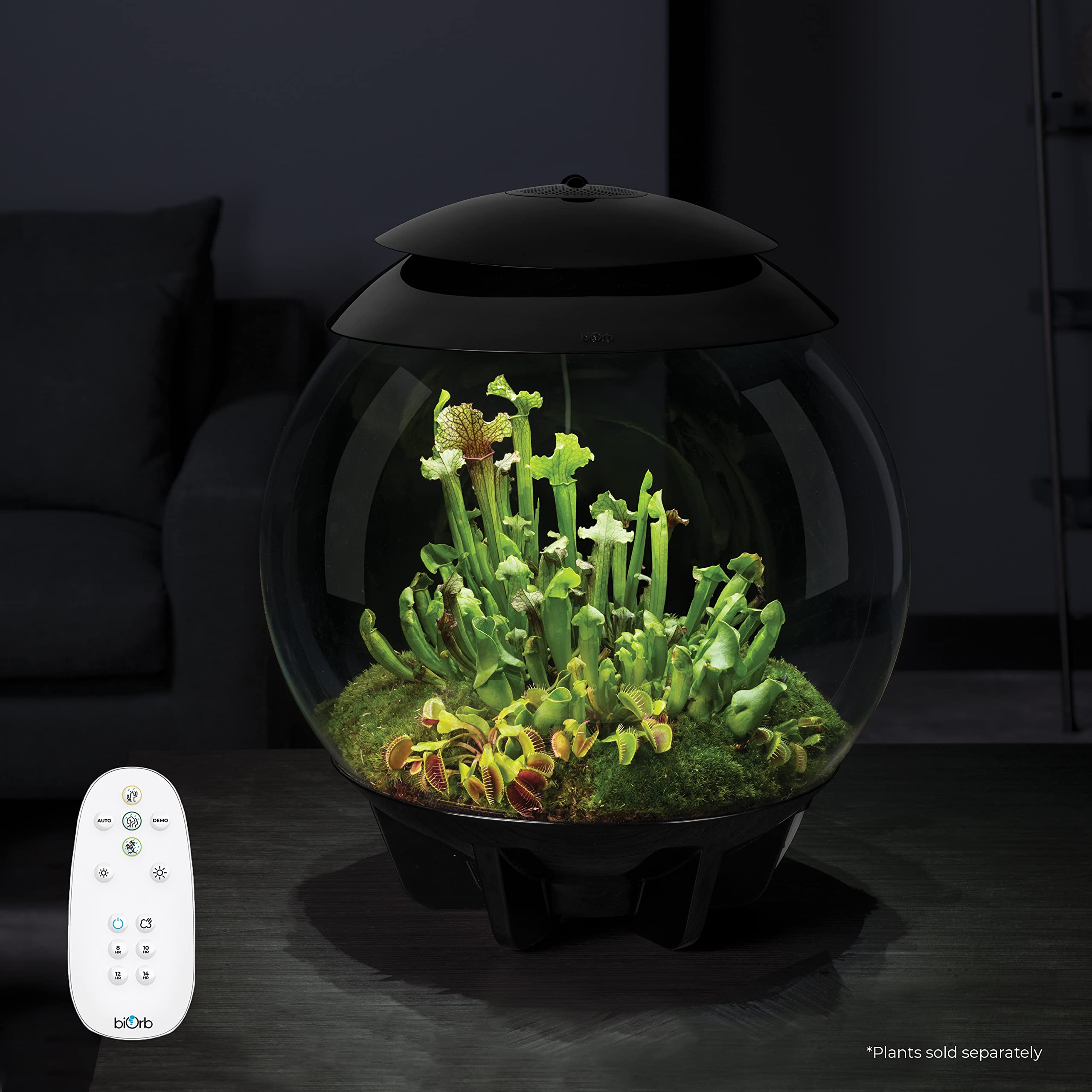 biOrb AIR 30, Automated Acrylic Terrarium for Desert or Tropical Plants, Black