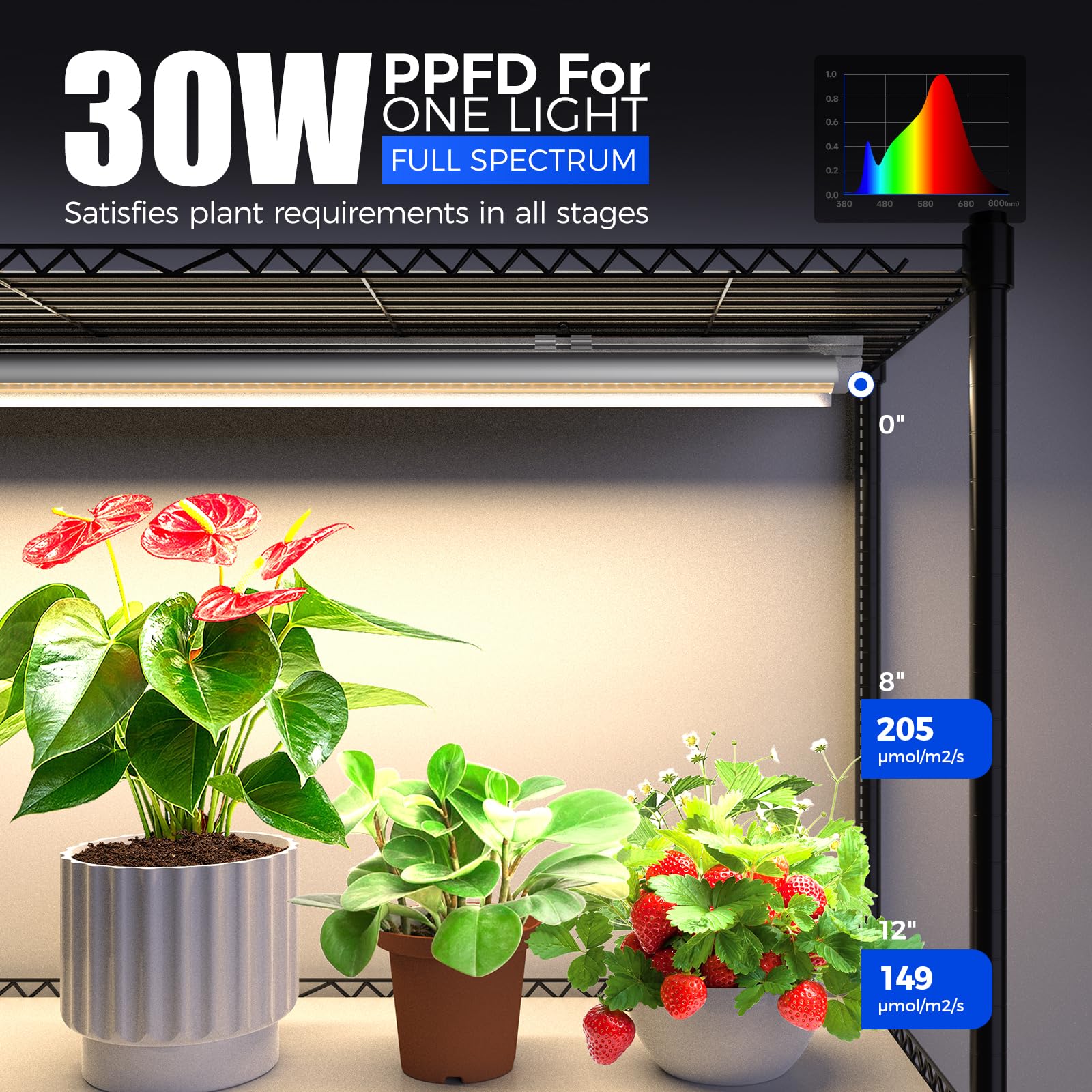 Barrina LH750 Pegboard Indoor Greenhouse with Grow Light, Plant Cabinet with 90W 5000K Full Spectrum Lamps, 3 Adjustable Pegboards, Timer, Wheel, for Foliage Plant, Seedling, 29.5x13.8x67.9IN