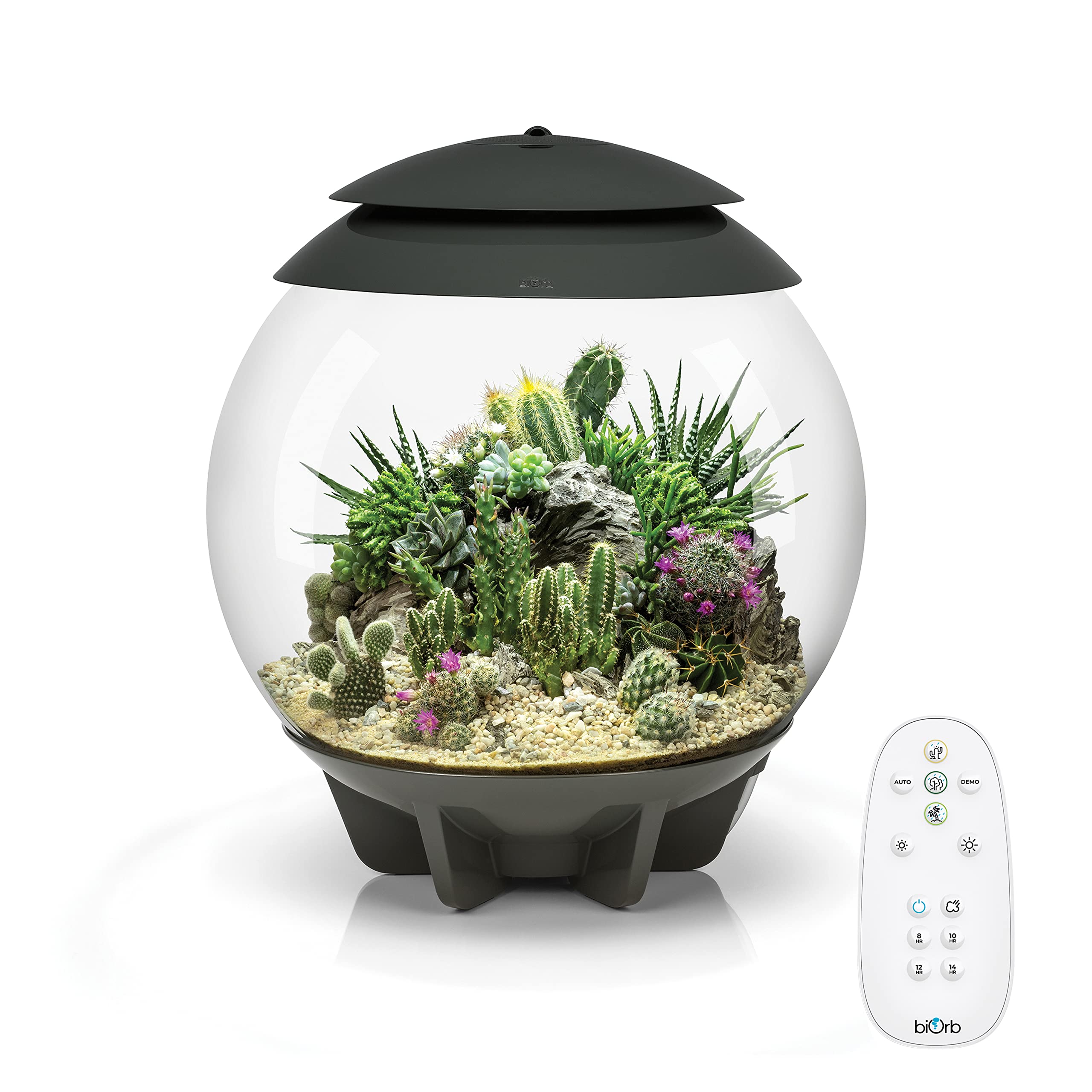 biOrb AIR 30, Automated Acrylic Terrarium for Desert or Tropical Plants, Black