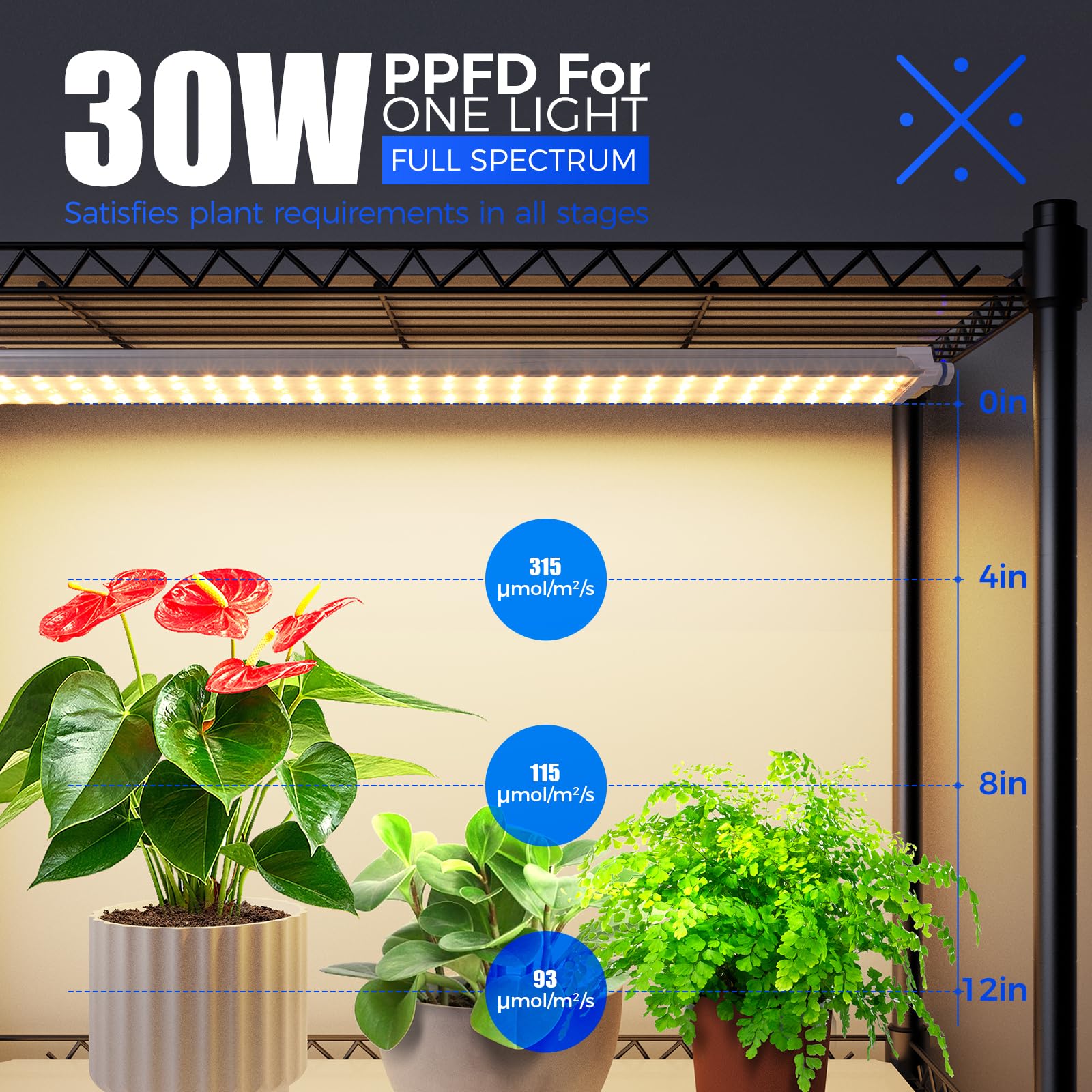 Barrina LH750 Pegboard Indoor Greenhouse with Grow Light, Plant Cabinet with 90W 5000K Full Spectrum Lamps, 3 Adjustable Pegboards, Timer, Wheel, for Foliage Plant, Seedling, 29.5x13.8x67.9IN