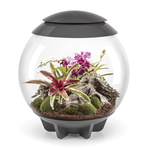 biOrb biOrbAIR 60 LED Terrarium - 16 gallon, grey,46148