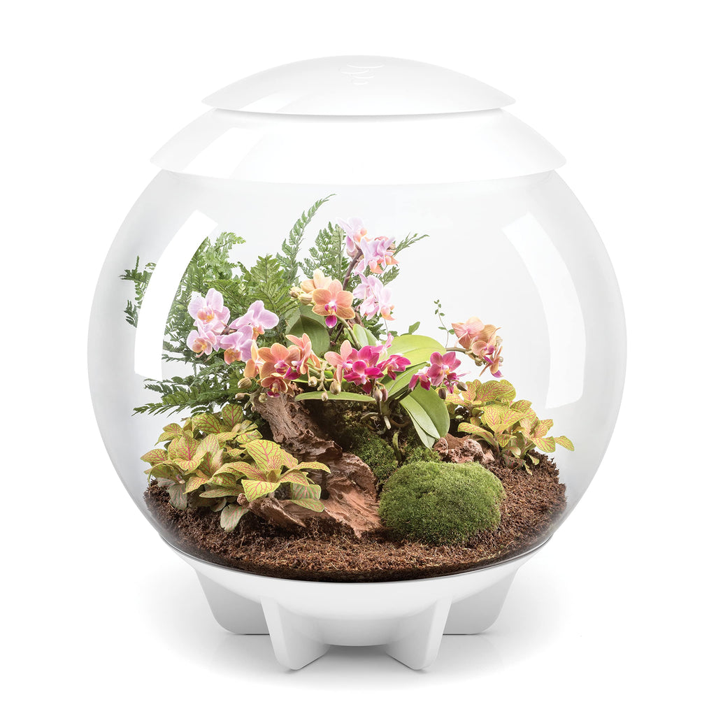 biOrb biOrbAIR 60 LED Terrarium - 16 gallon, grey,46148