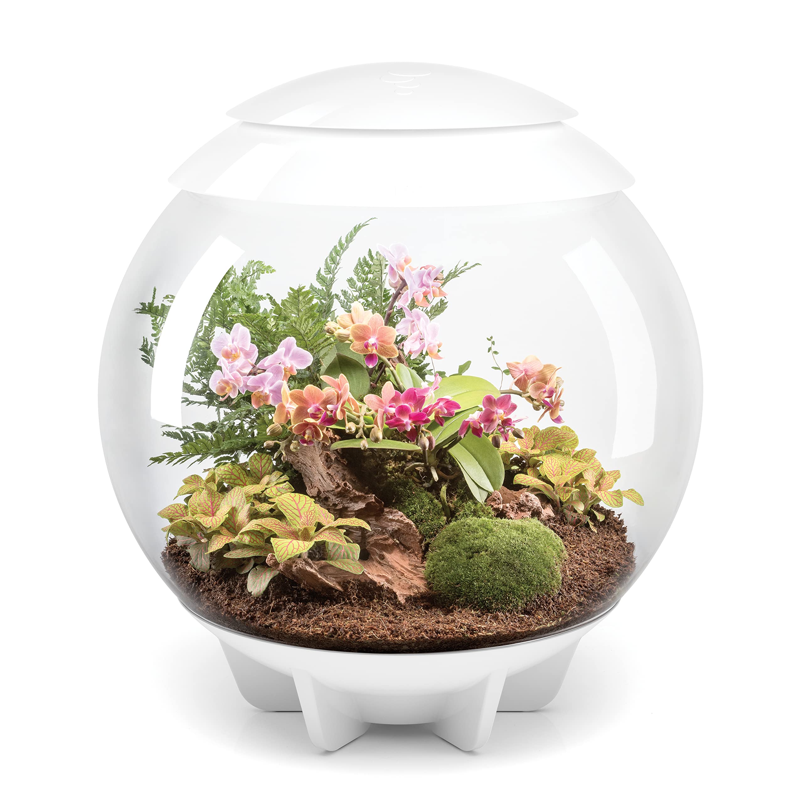 biOrb biOrbAIR 60 LED Terrarium - 16 gallon, grey,46148