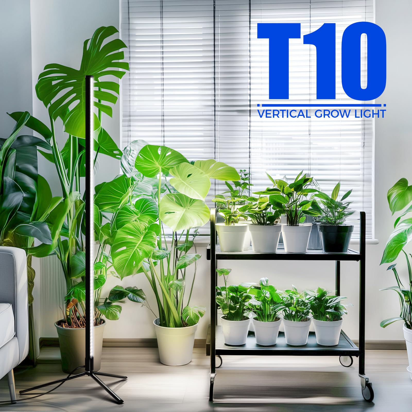 Barrina T10 Pro Standing Grow Light with Timer, 42W, 5000K, Full Spectrum Vertical Tall Grow Lights for Indoor Plants, Wide Coverage, 4FT to 5.6FT Height with Foot Switch, for Flower and Tall Plants