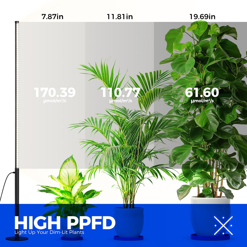 Barrina T10 Pro Standing Grow Light with Timer, 42W, 5000K, Full Spectrum Vertical Tall Grow Lights for Indoor Plants, Wide Coverage, 4FT to 5.6FT Height with Foot Switch, for Flower and Tall Plants