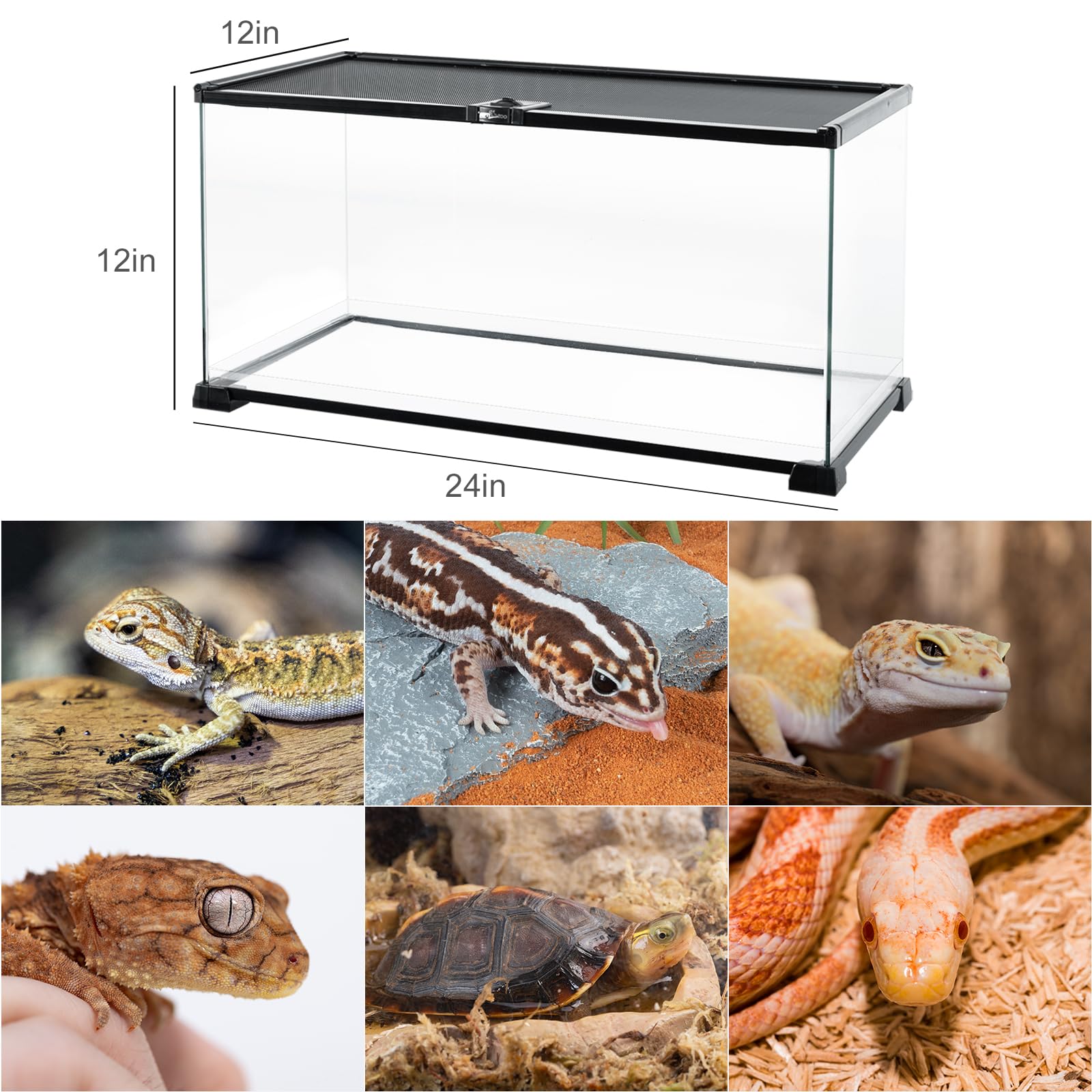 REPTIZOO Small Glass Tank 8 Gallon, Top Opening Terrarium 12" x 12" x 12" Leopard Gecko Tarantula Young Lizard Hermit Crab Frog Insects Breeding Tank