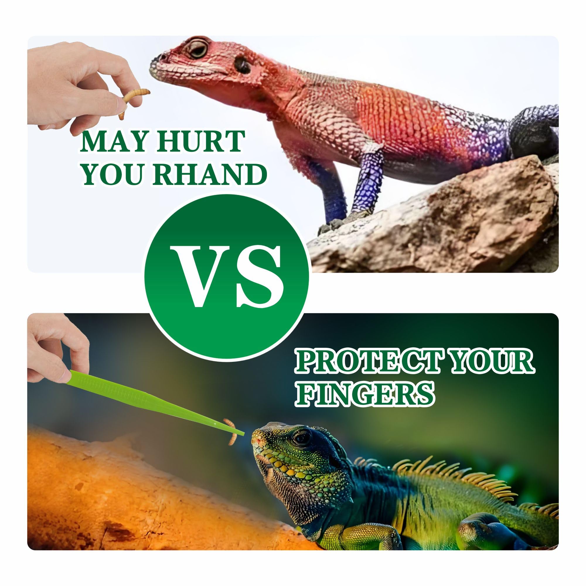 5-Pack Reptile Feeding Tongs Set - Hygienic Anti-Slip Purple Tweezers for Bearded Dragons, Lizards, Snakes, Aquariums & Small Animals(Five Colors to Choose from)