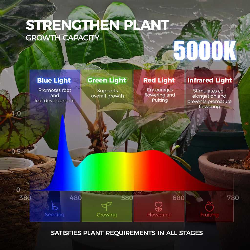 Barrina LP1200 Indoor Greenhouse with Grow Light, 4 Tier Stand with Tent