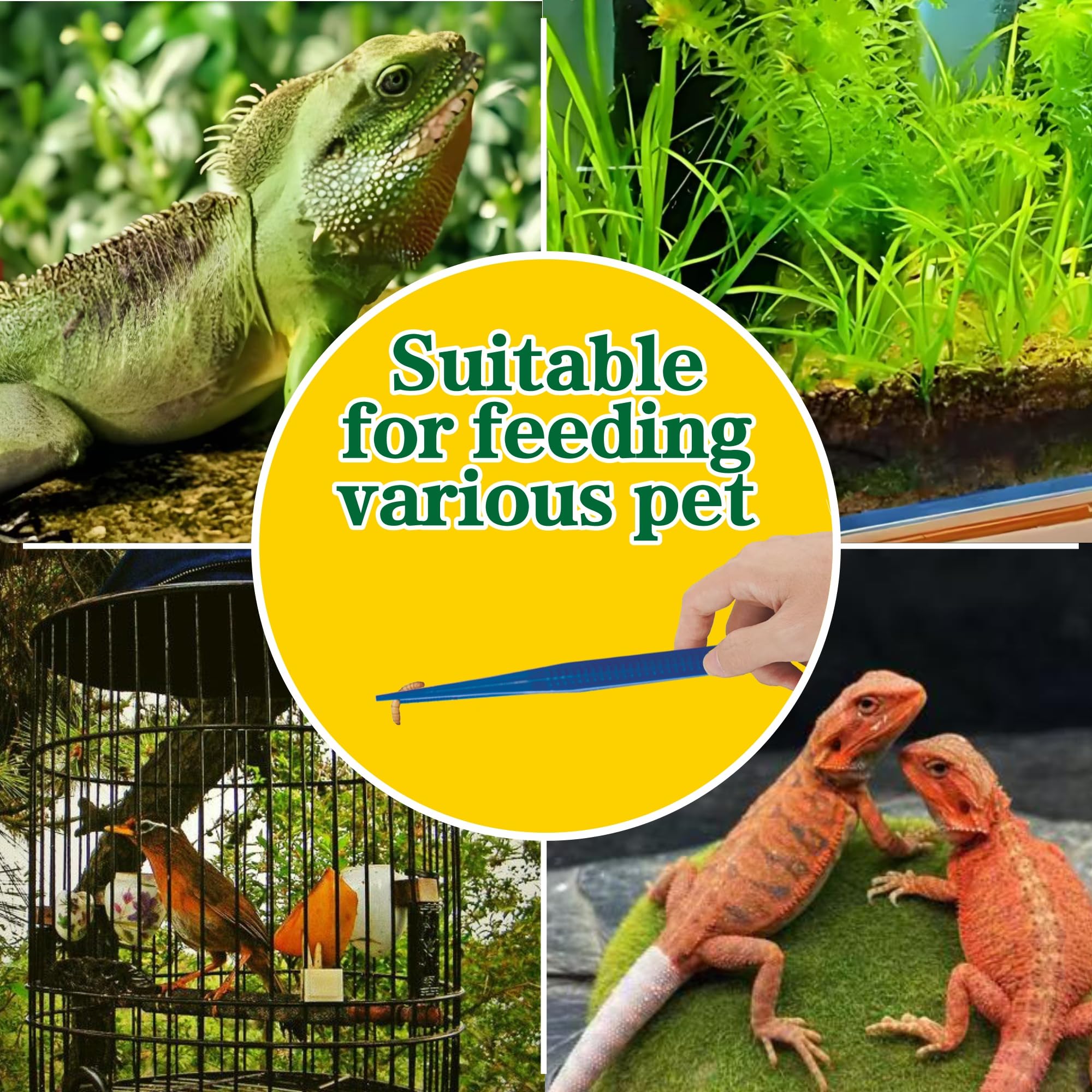 5-Pack Reptile Feeding Tongs Set - Hygienic Anti-Slip Purple Tweezers for Bearded Dragons, Lizards, Snakes, Aquariums & Small Animals(Five Colors to Choose from)