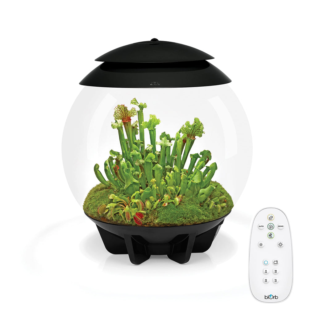 biOrb AIR 30, Automated Acrylic Terrarium for Desert or Tropical Plants, Black