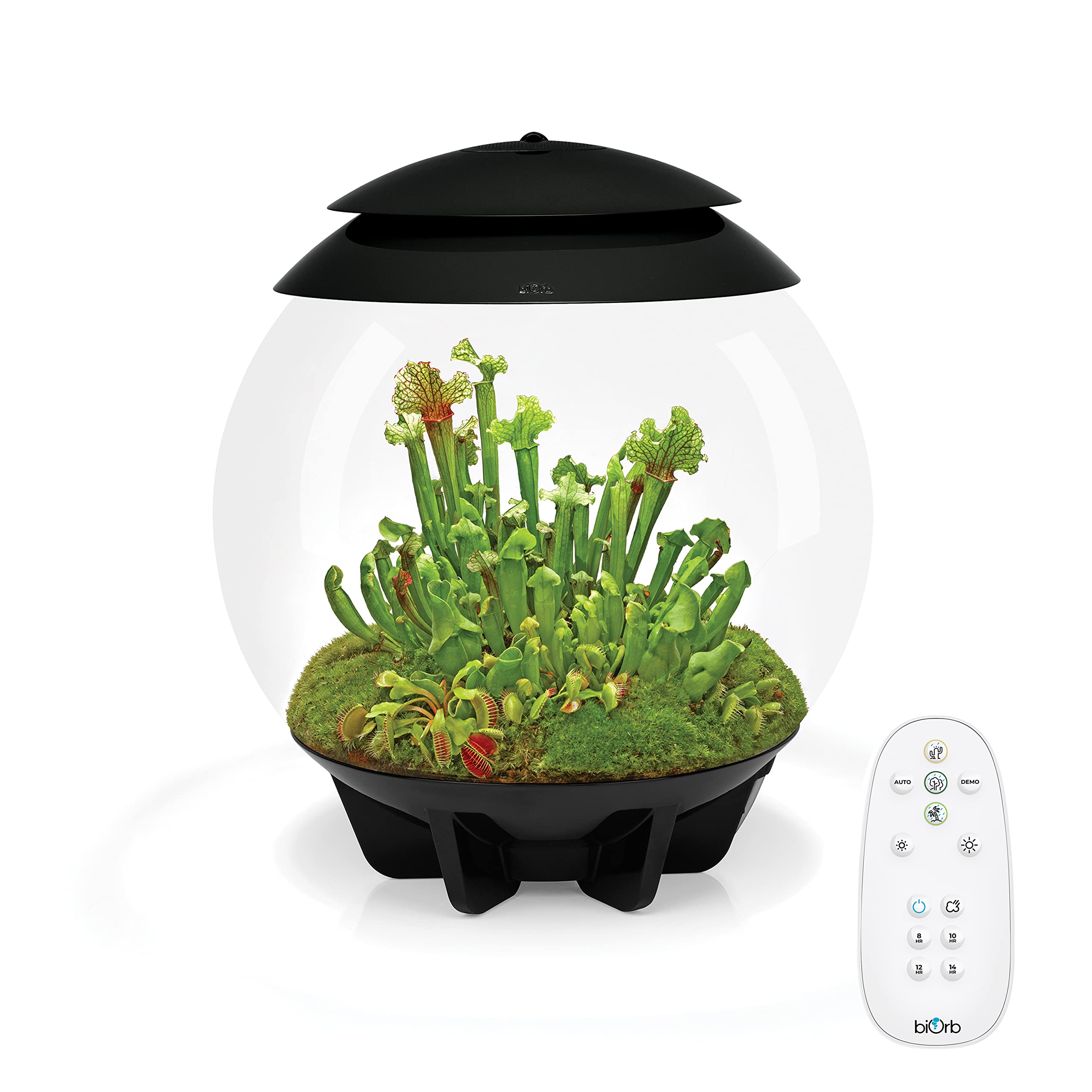 biOrb AIR 30, Automated Acrylic Terrarium for Desert or Tropical Plants, Black