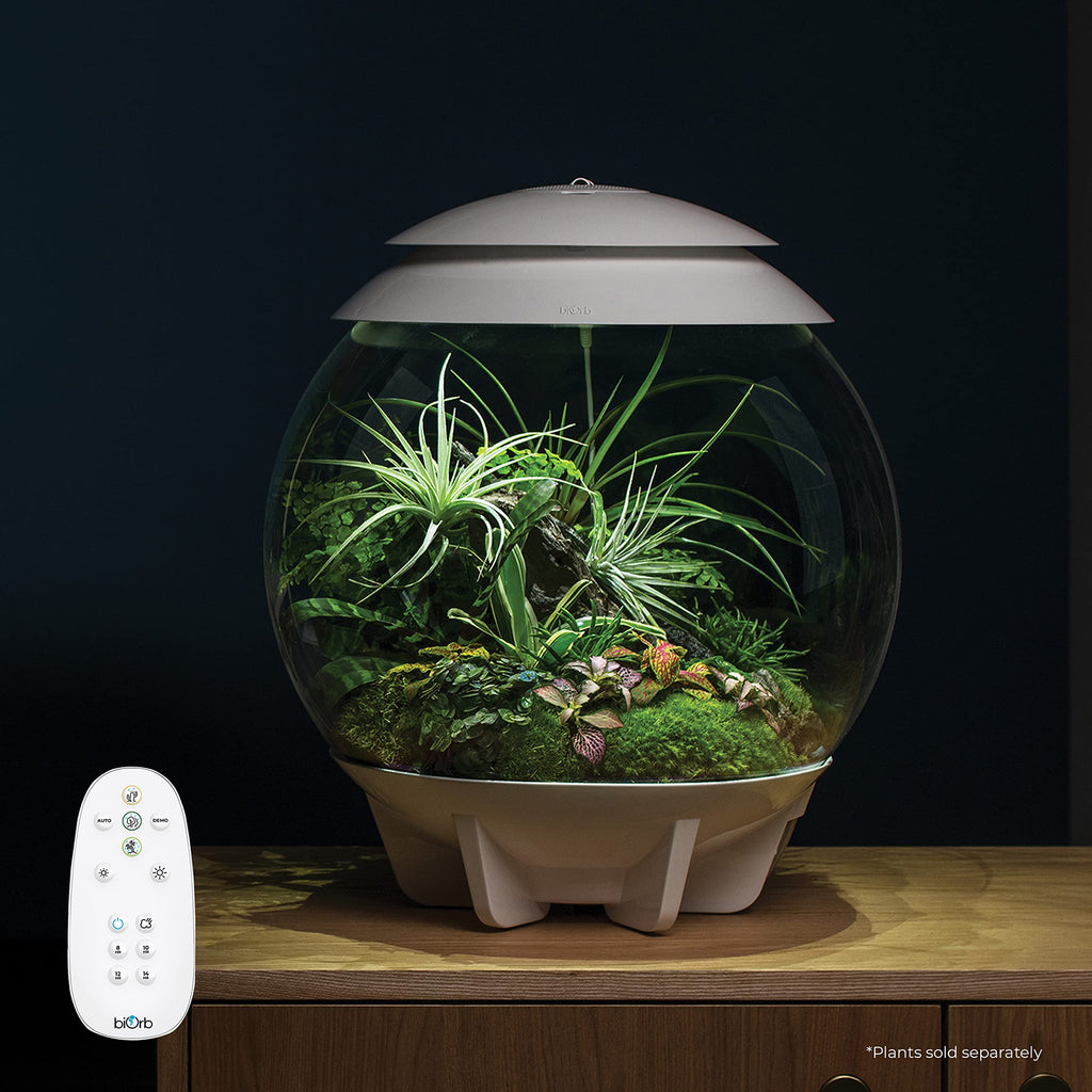 biOrb AIR 30, Automated Acrylic Terrarium for Desert or Tropical Plants, Black