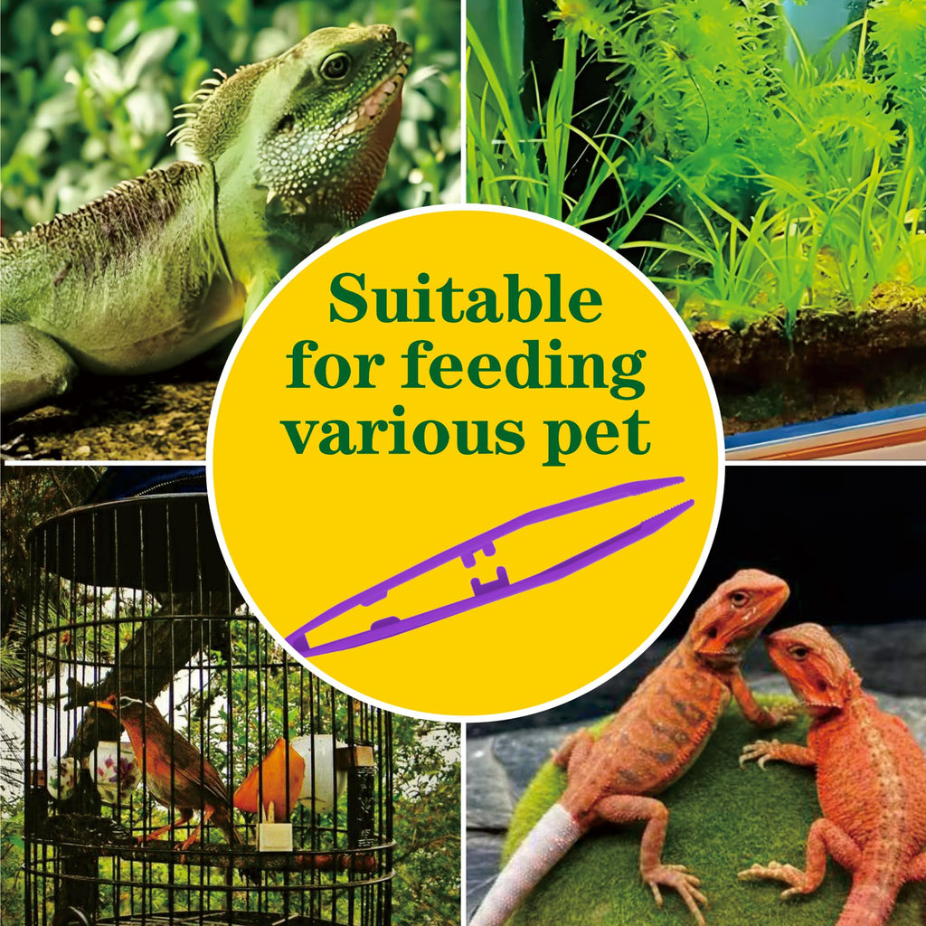 5-Pack Reptile Feeding Tongs Set - Hygienic Anti-Slip Purple Tweezers for Bearded Dragons, Lizards, Snakes, Aquariums & Small Animals(Five Colors to Choose from)
