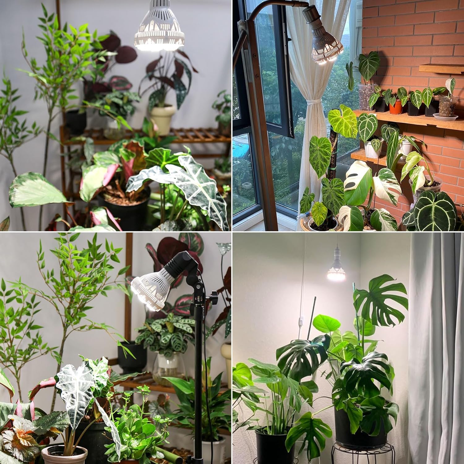 SANSI Dimmable Grow Light Bulb Full Spectrum, High PPFD 30W Grow Bulb (450 Watt Equiv) with Remote, Auto On Off Timing 4 8 12 Hrs, Energy Saving Plant Light Bulb with E26 Base for Indoor Plants