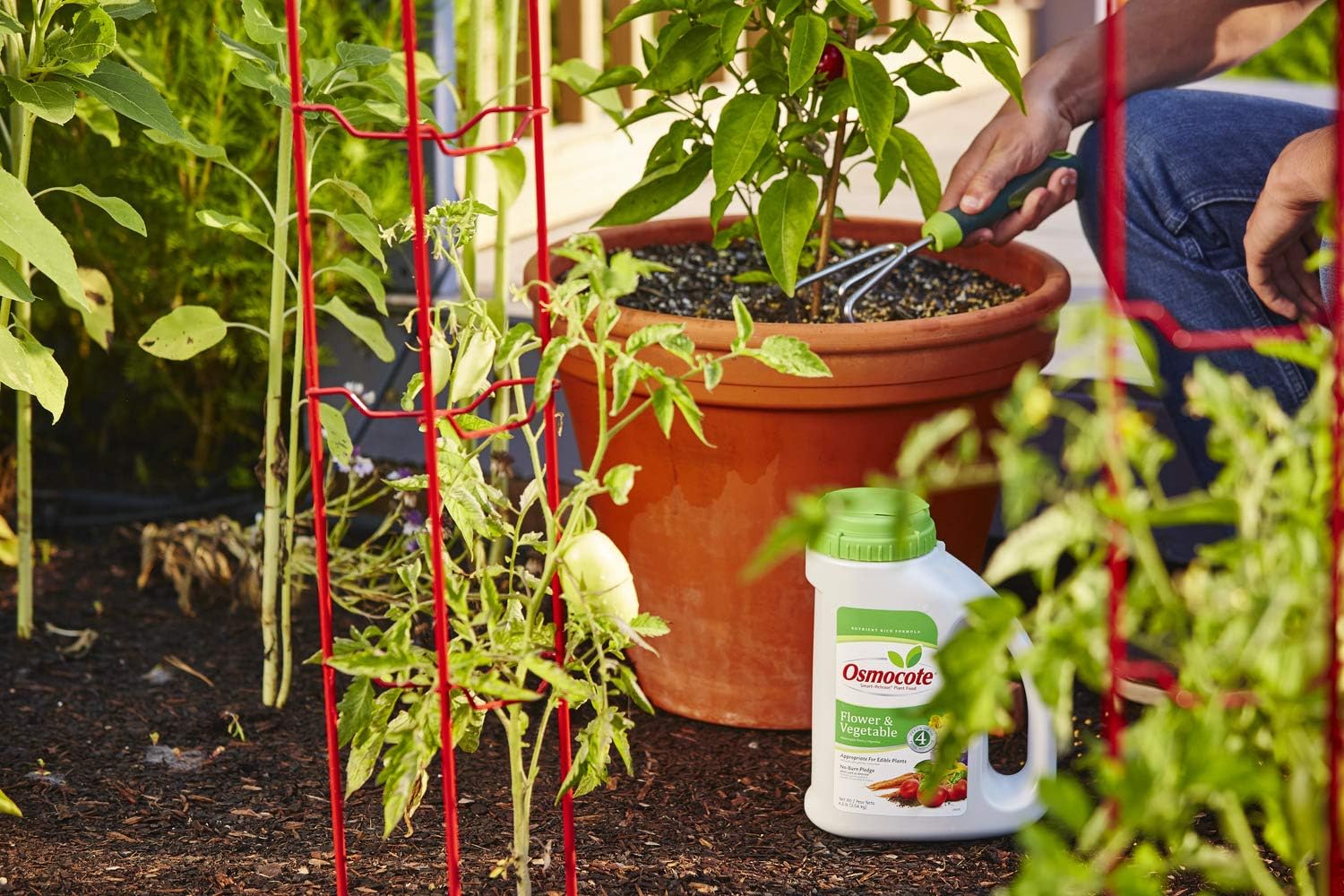 Osmocote Smart-Release Plant Food Plus Outdoor & Indoor1 - Granular, Continuous Release Plant Fertilizer with 11 Essential Nutrients, 2 lbs.