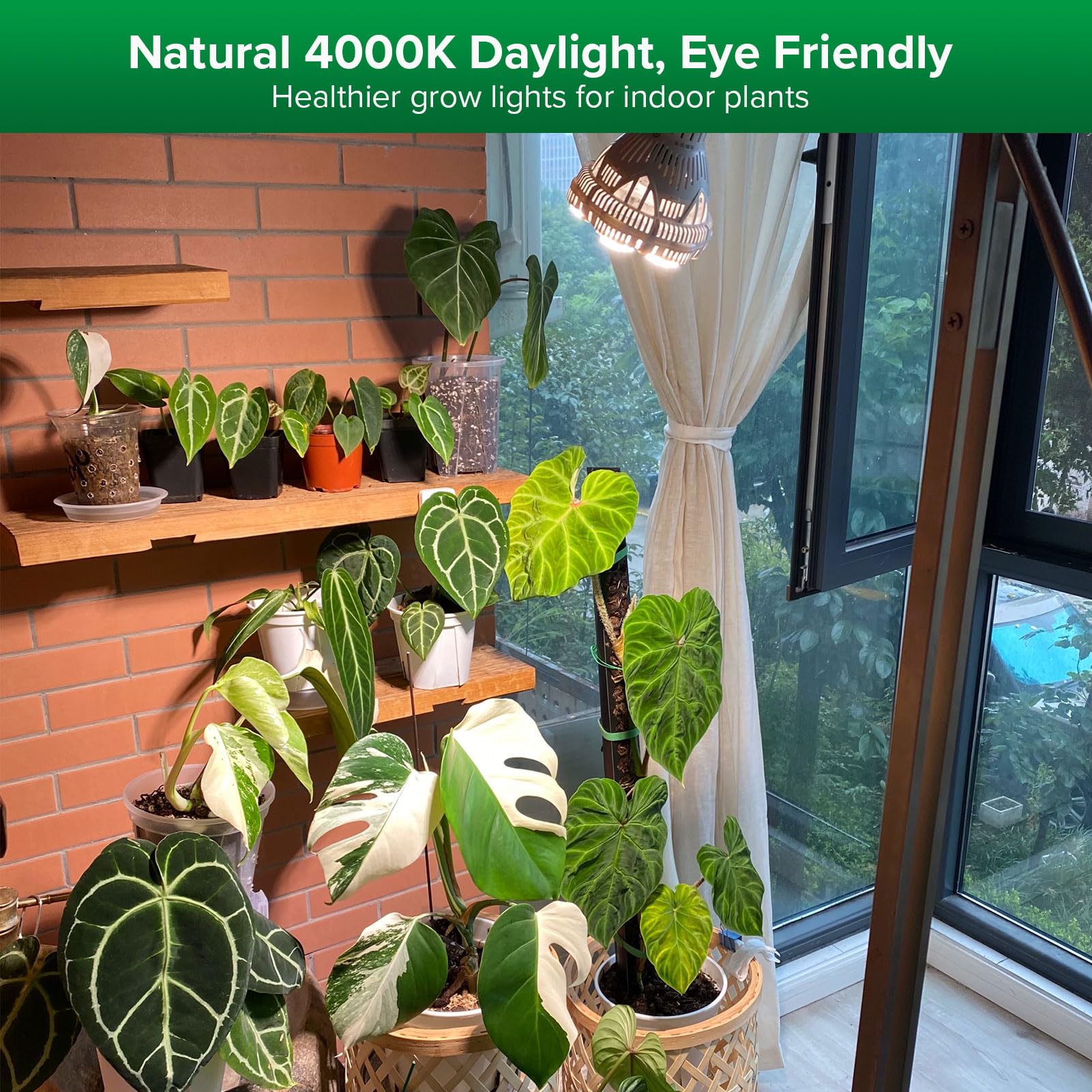 SANSI Grow Lights for Indoor Plants, Full Spectrum 24W Grow Light Bulbs (300 Watt Equivalent) with Optical Lens for High PPFD, Natural Daylight Efficiency Plant Lights for Indoor Growing Seed Starting