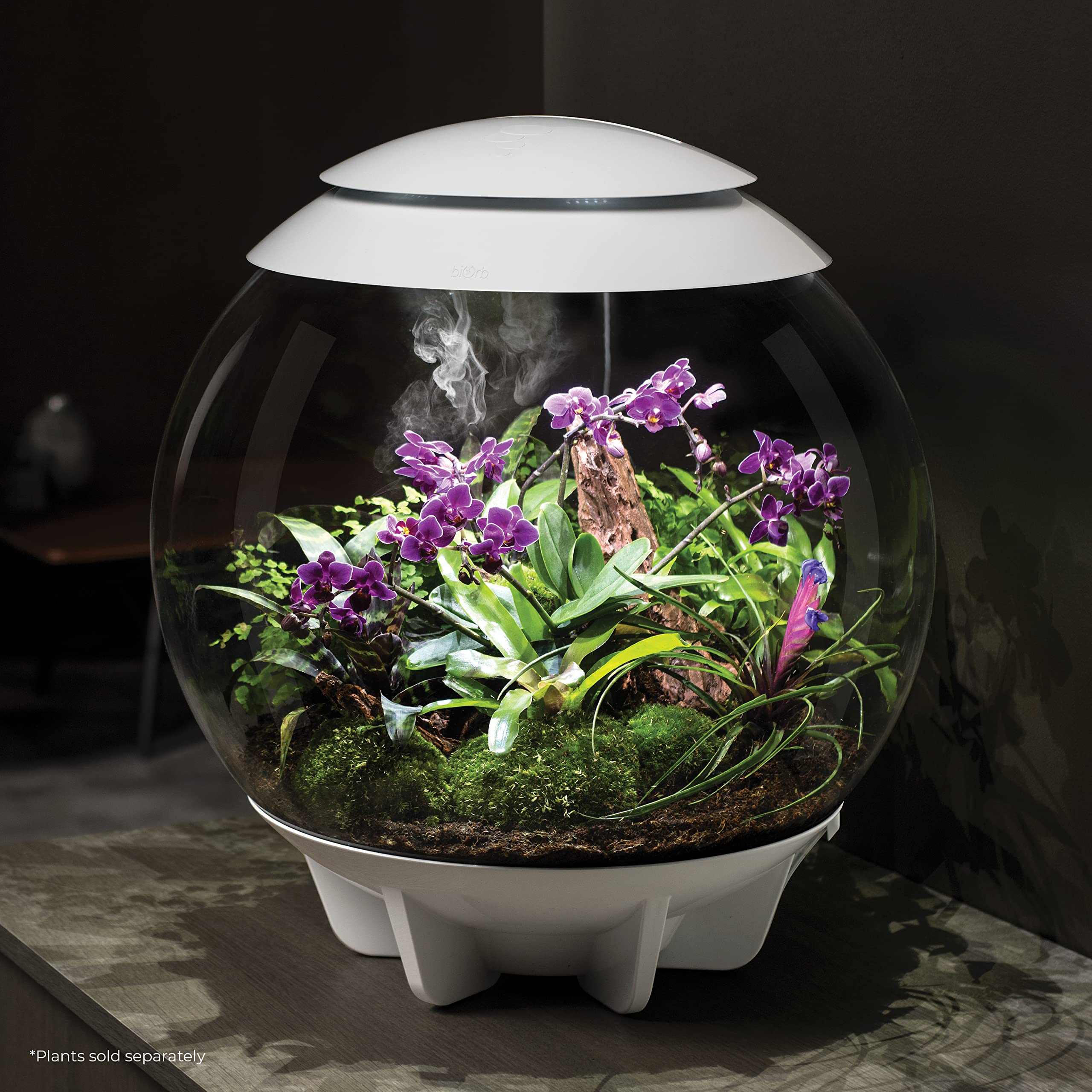 biOrb biOrbAIR 60 LED Terrarium - 16 gallon, grey,46148