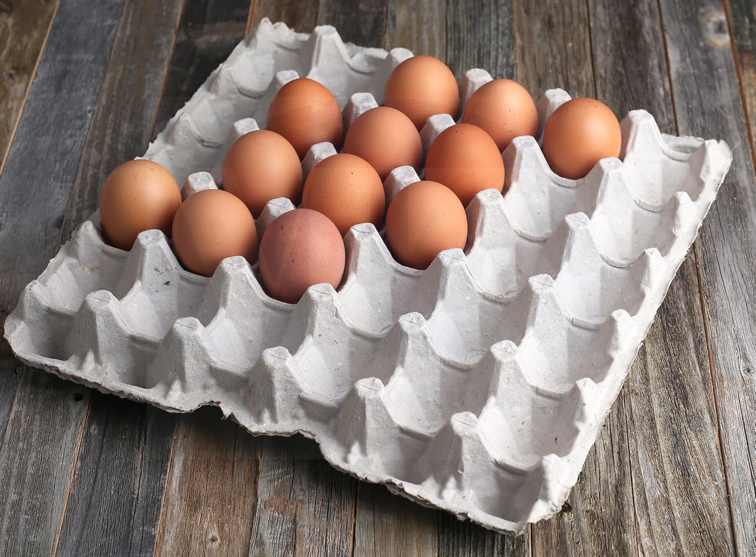 Biodegradable Pulp Fiber Egg Flats - 15 Pieces for Storing up to 30 Large or Small Eggs/Egg Crates That Make a Great Home for Roach Colony by MT Products