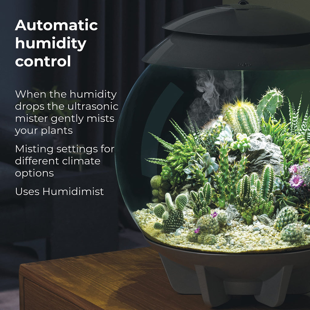 biOrb AIR 30, Automated Acrylic Terrarium for Desert or Tropical Plants, Black