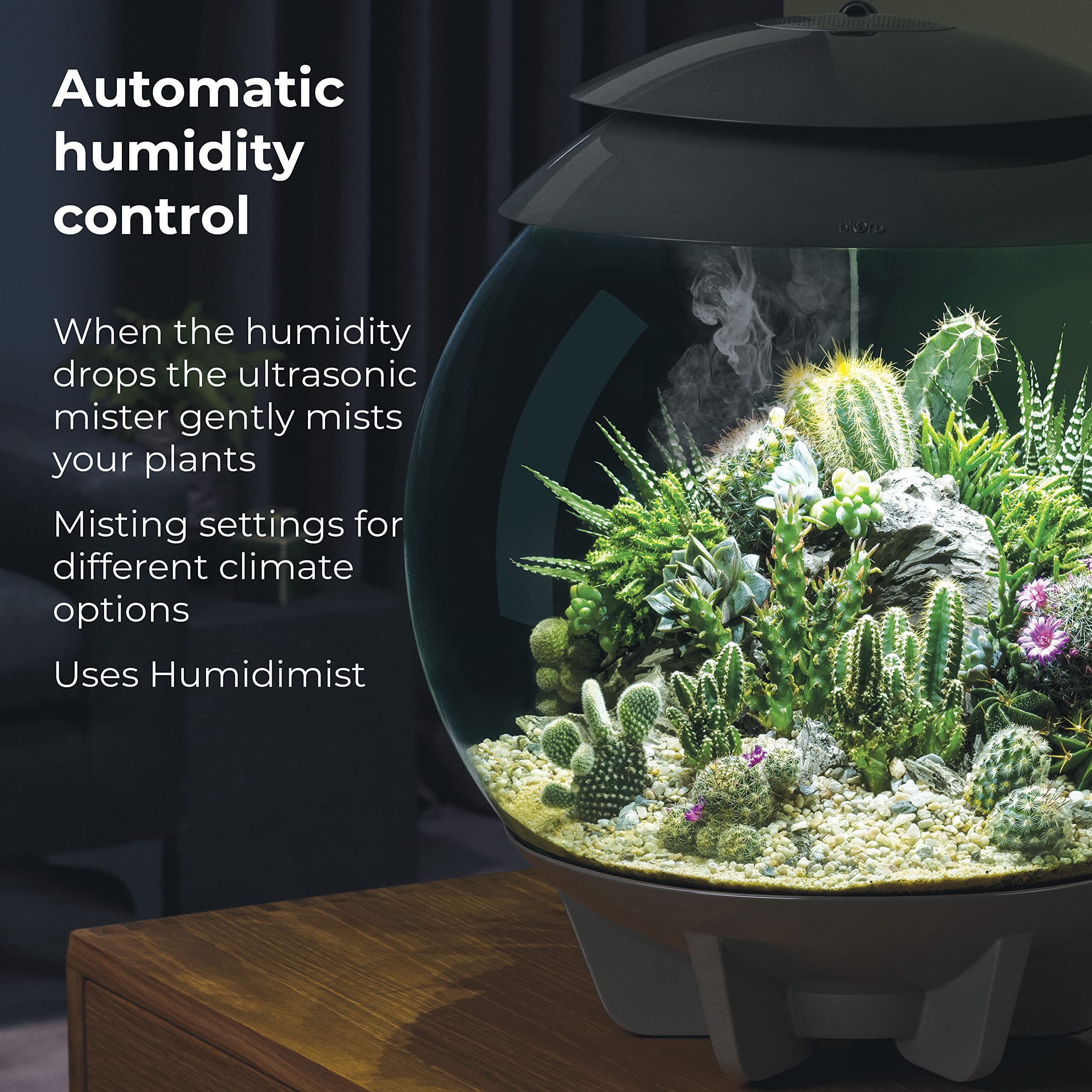 biOrb AIR 30, Automated Acrylic Terrarium for Desert or Tropical Plants, Black