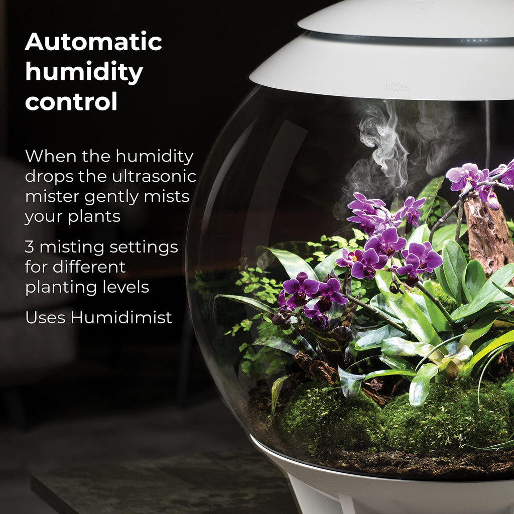 biOrb biOrbAIR 60 LED Terrarium - 16 gallon, grey,46148