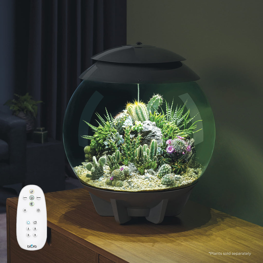 biOrb AIR 30, Automated Acrylic Terrarium for Desert or Tropical Plants, Black