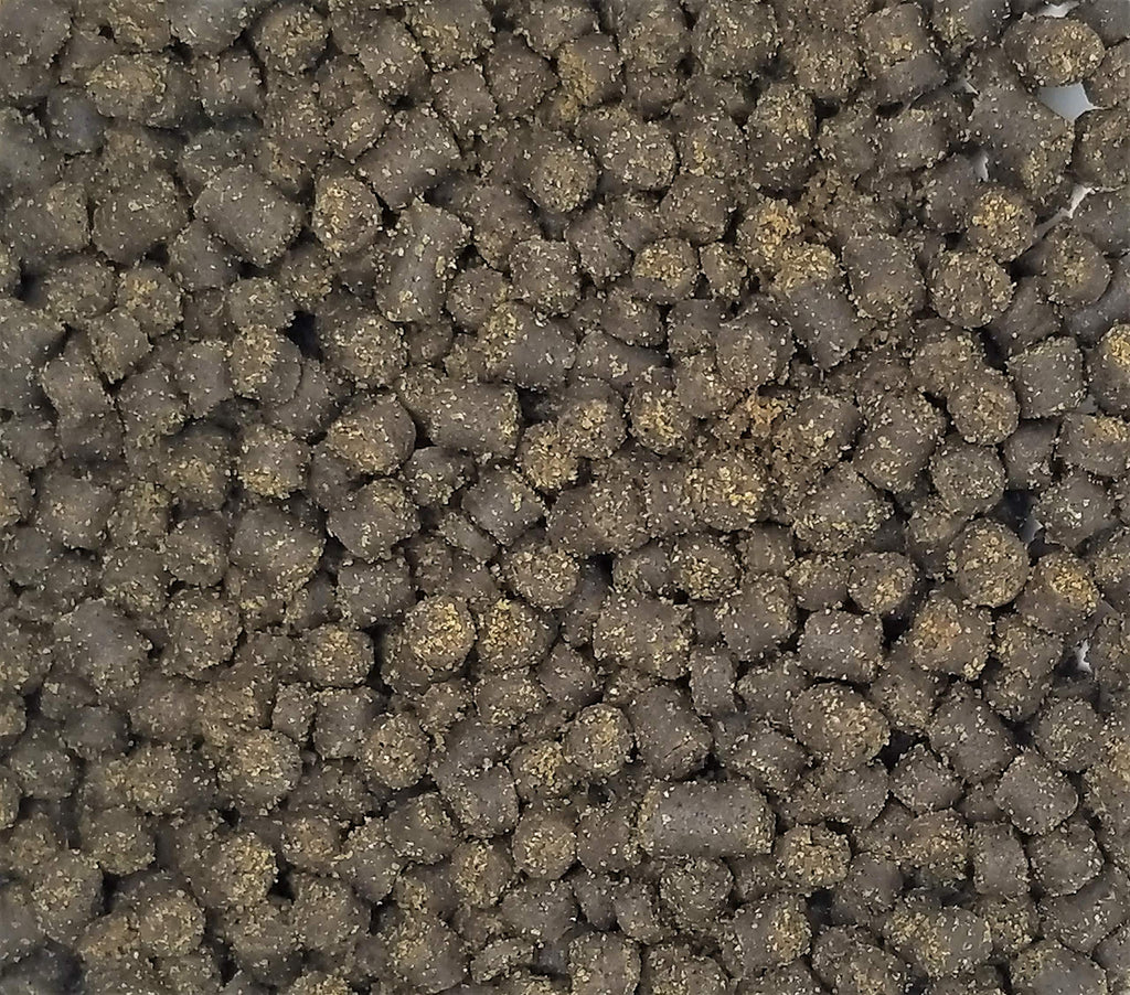 Soft Pellets for Axolotls - Moist Sinking Diet for Axolotl, Newts, Salamanders & Other Small Amphibians (3 oz (85g))