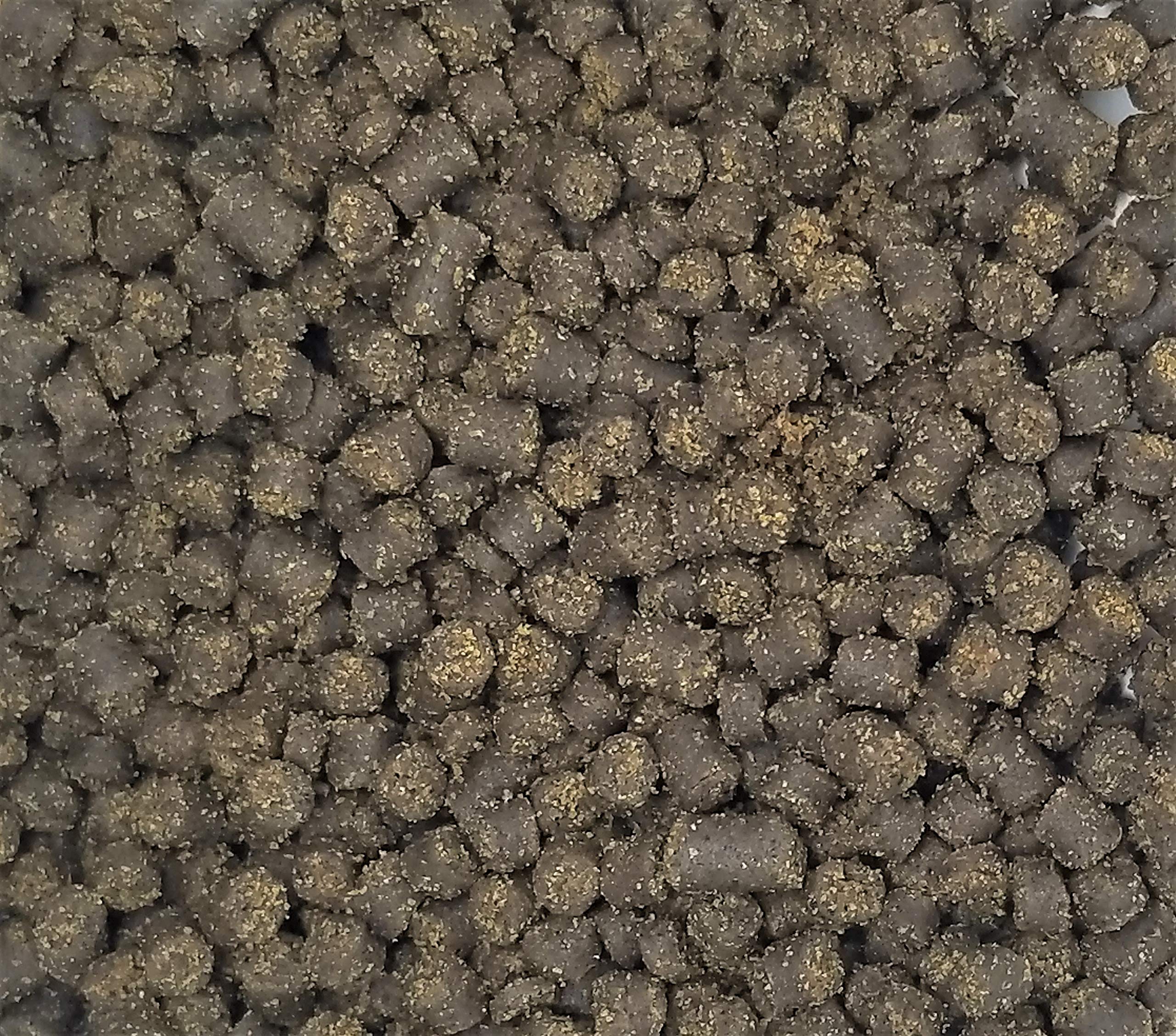 Soft Pellets for Axolotls - Moist Sinking Diet for Axolotl, Newts, Salamanders & Other Small Amphibians (3 oz (85g))