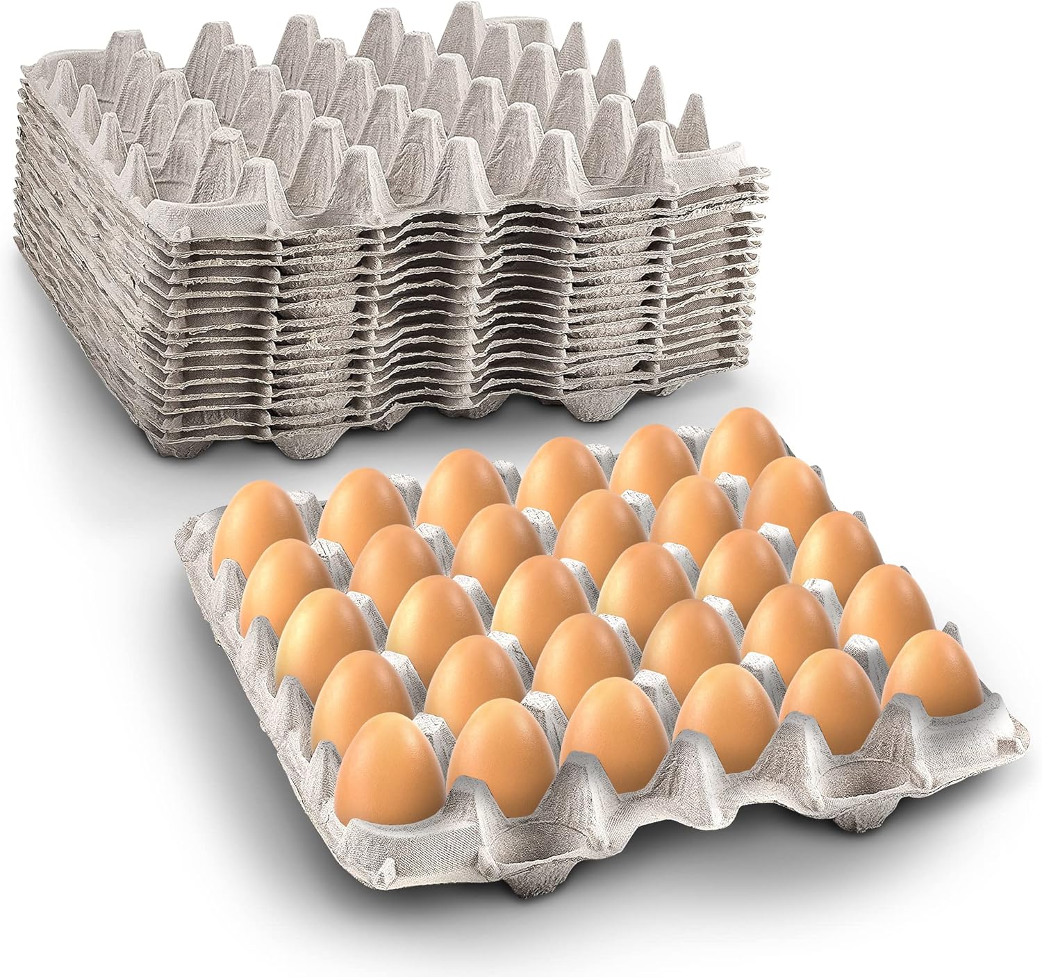 Biodegradable Pulp Fiber Egg Flats - 15 Pieces for Storing up to 30 Large or Small Eggs/Egg Crates That Make a Great Home for Roach Colony by MT Products