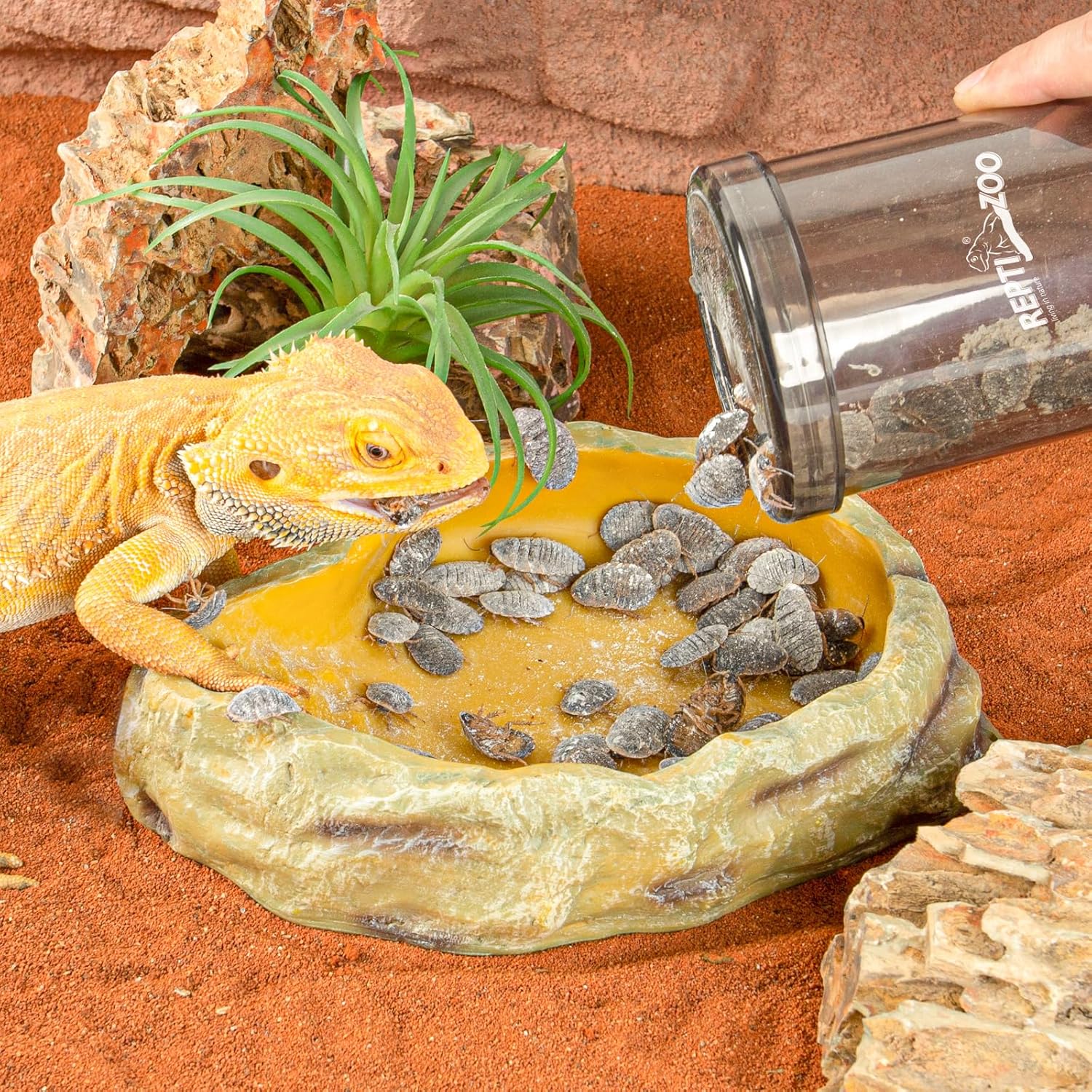 REPTI ZOO Reptile Cricket Calcium Powder Mixer, Cricket Keeper Shaker for Bearded Dragon Gecko Snake Lizards, Dispenser Feeder for Chameleon Reptile & Amphibians