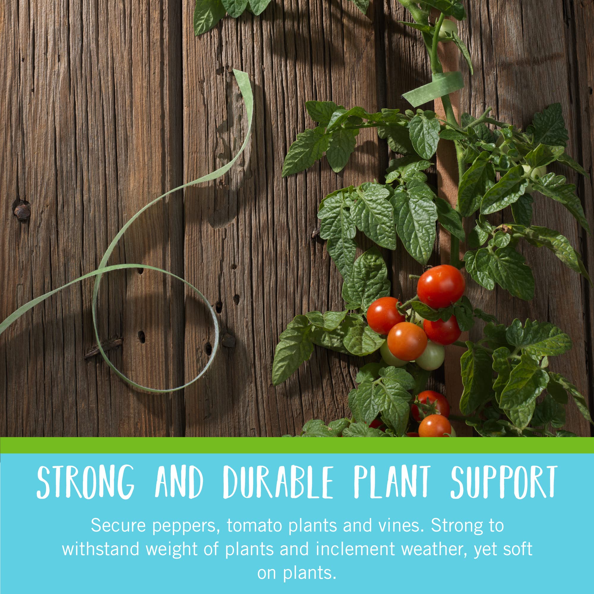 VELCRO Brand Adjustable Plant Ties | 75 ft x 1/2 in Green Garden Tape | Reusable, Cut-to-Length Hook & Loop Plant Support for Staking, Training & Organizing Tomatoes, Vines, and Flowers