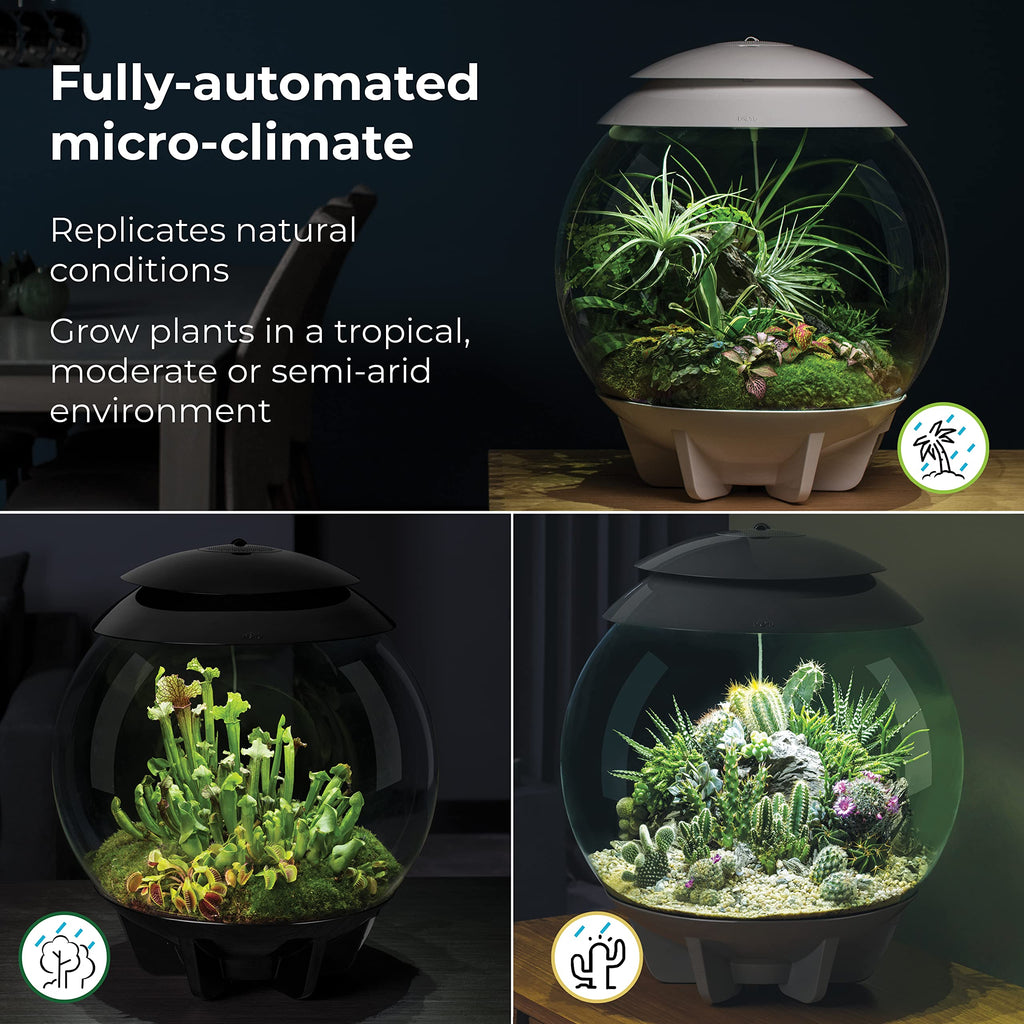 biOrb AIR 30, Automated Acrylic Terrarium for Desert or Tropical Plants, Black